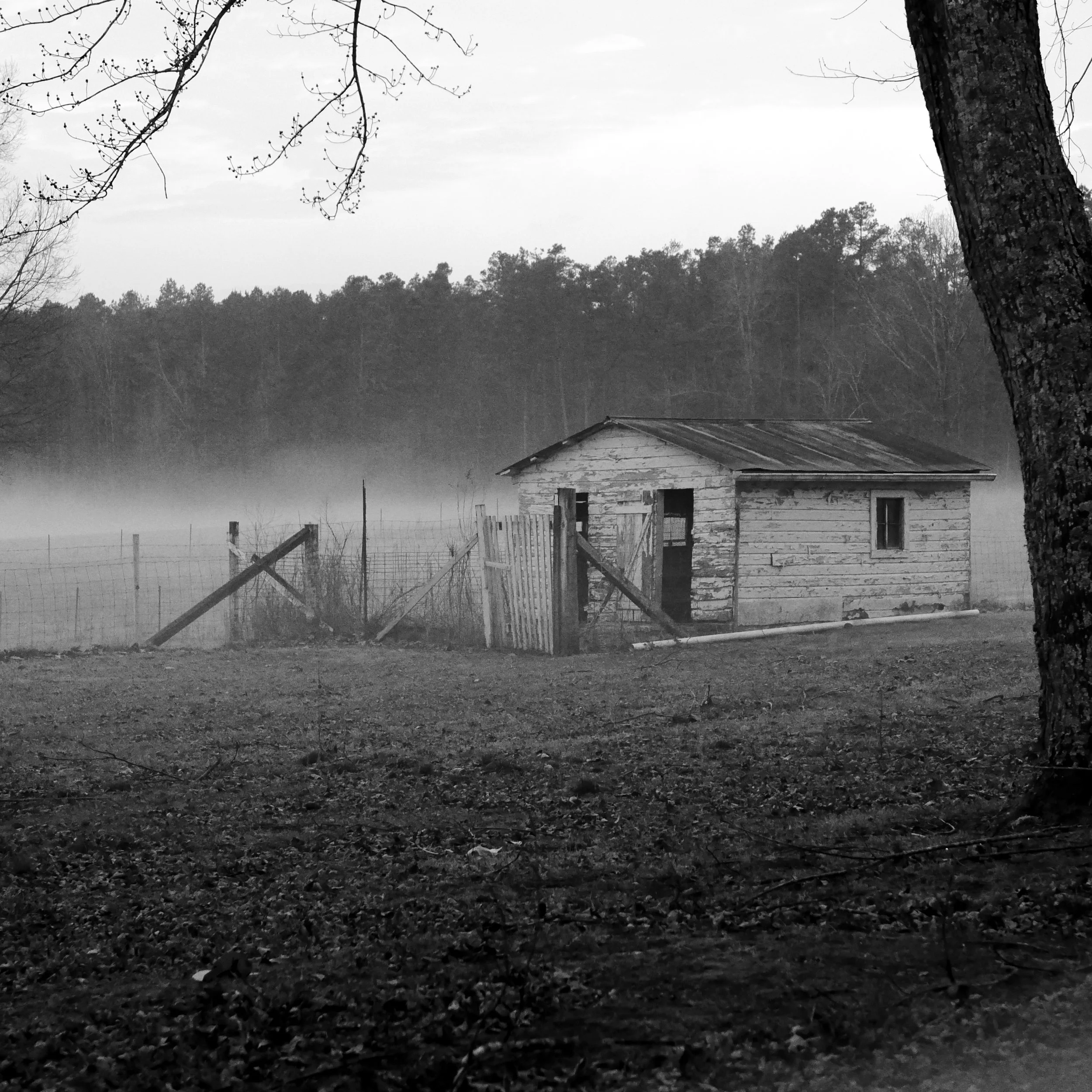 L1040341.JPG