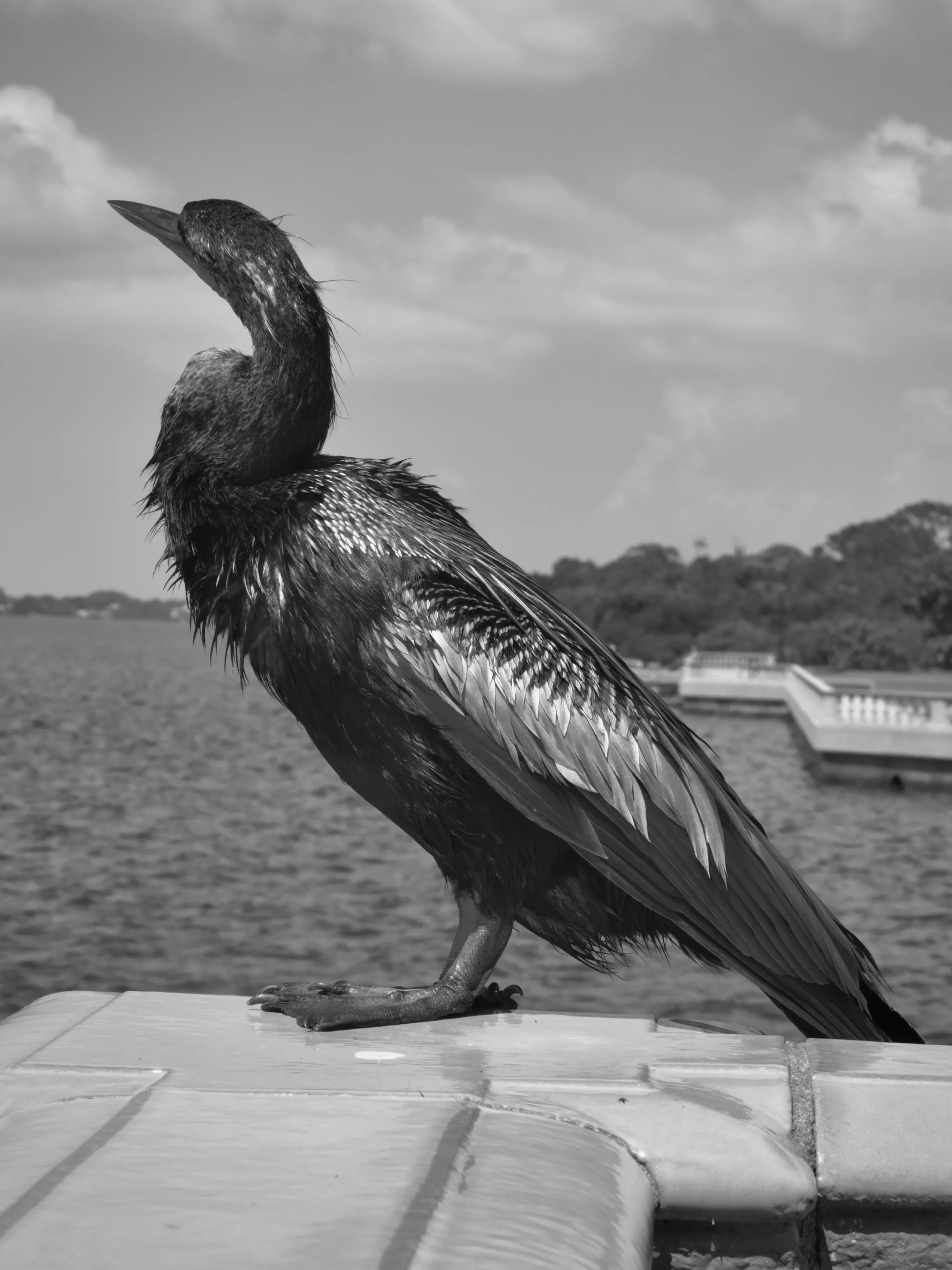 46A077F7-4C63-40C0-8F6F-5137524F1E93_1_201_a.jpeg