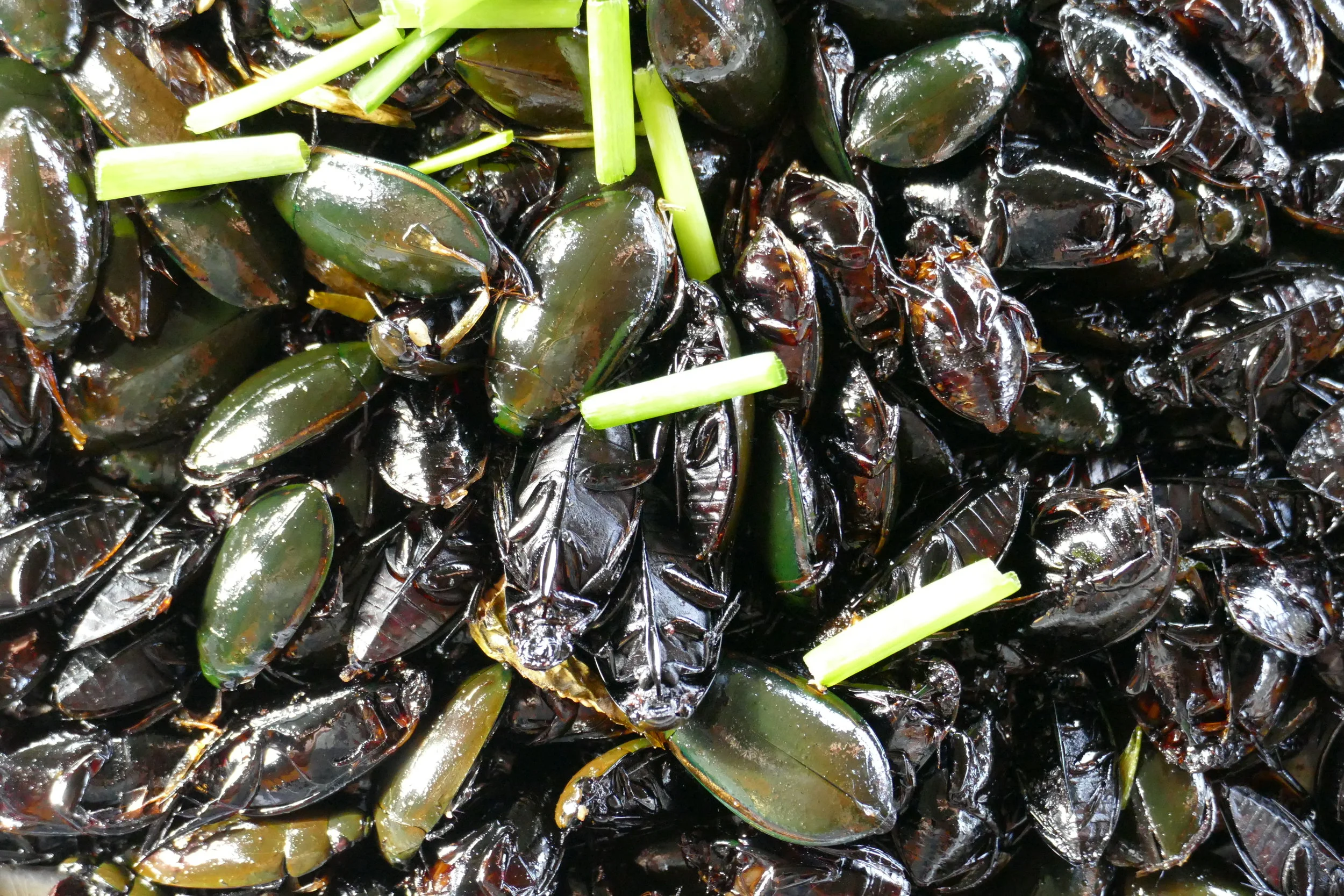 P1100200.JPG