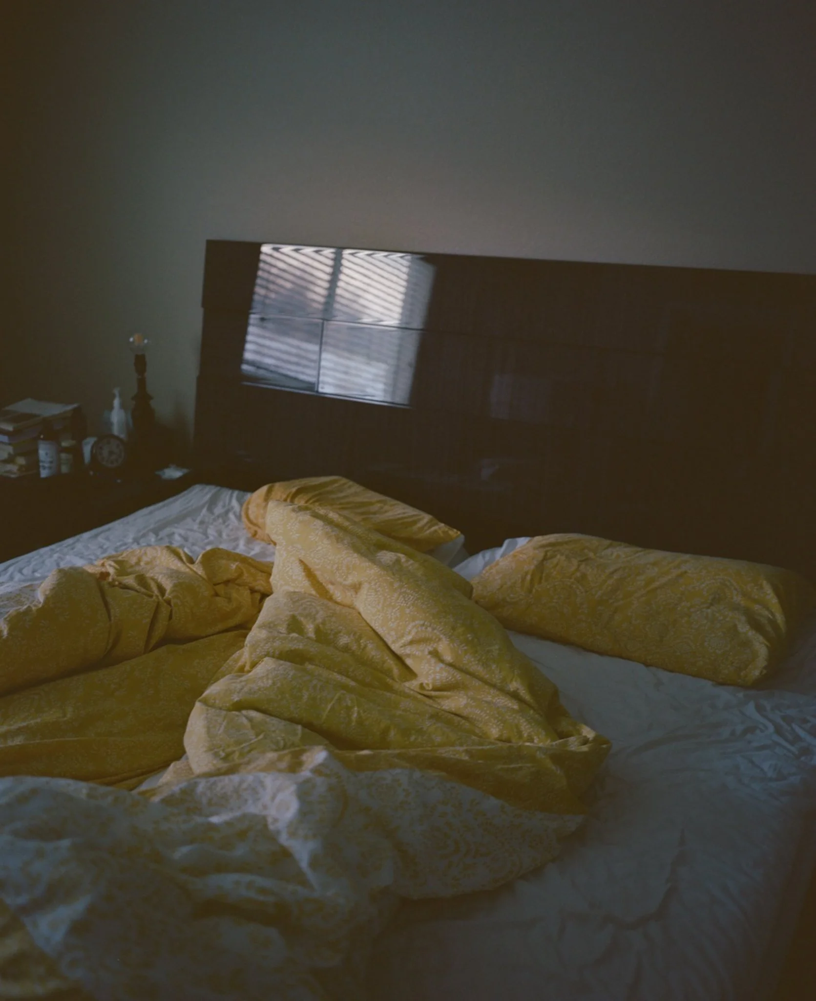 The-Camelot-Web-01.jpg