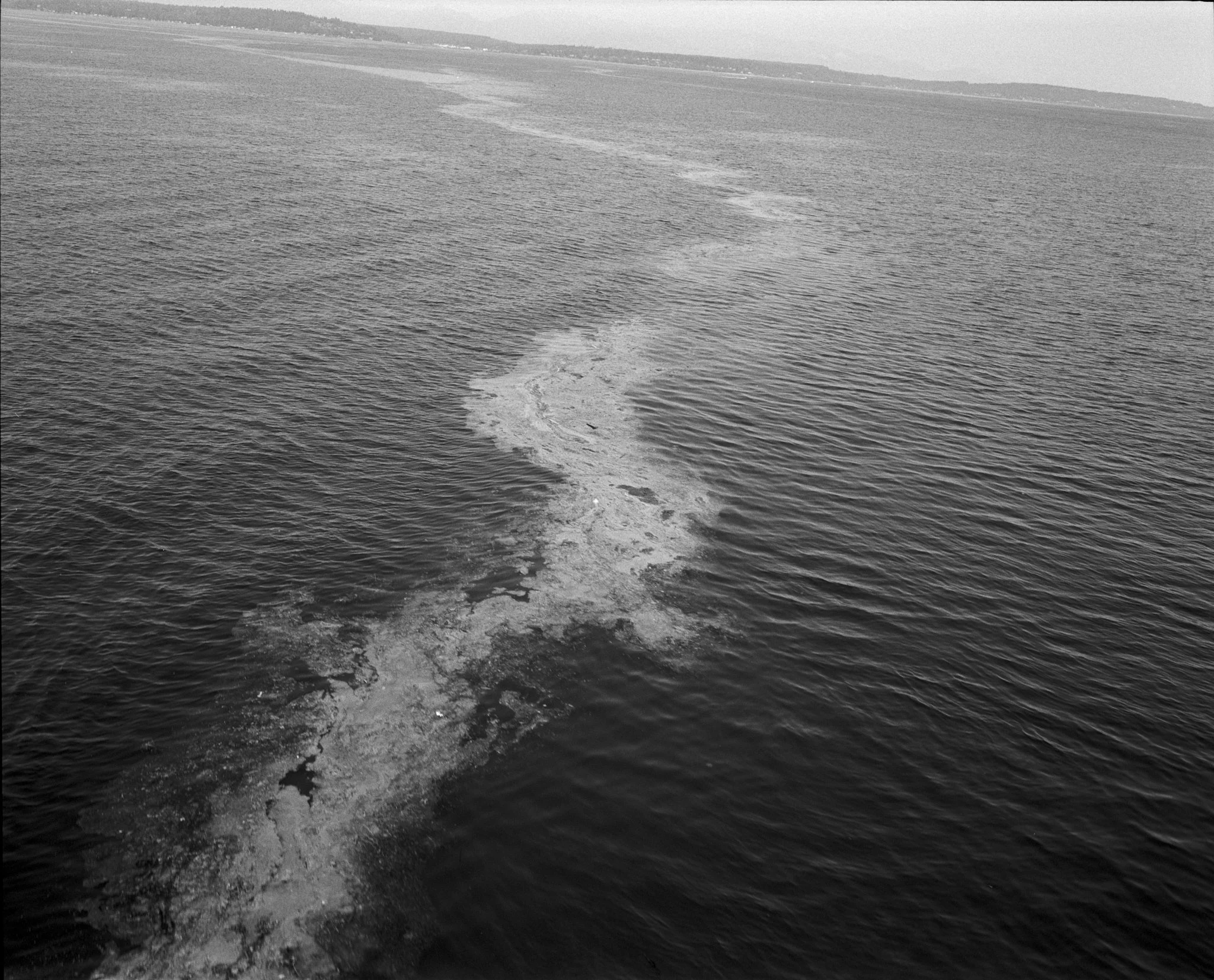 Ferry-05.jpg