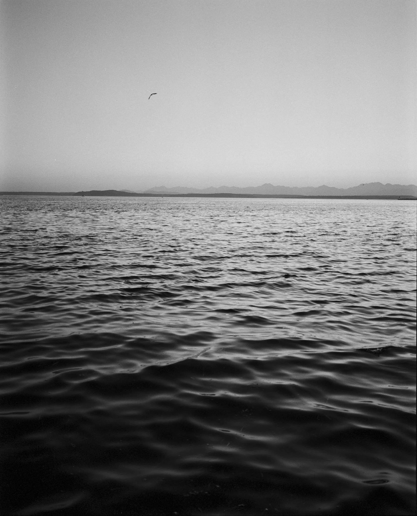 Ferry-14.jpg