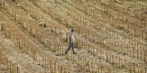 Duro informe sobre el cambio climático