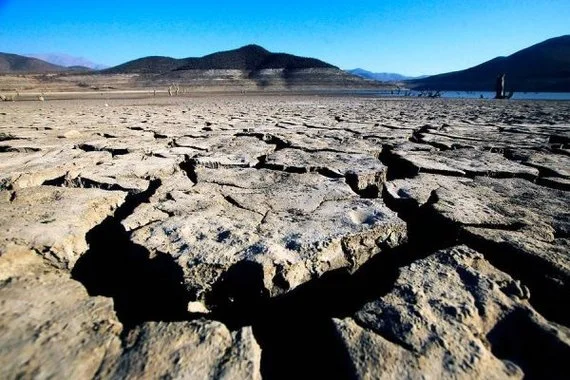Crece preocupación por sequía