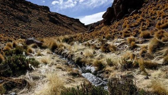 Alegatos en caso Silala 