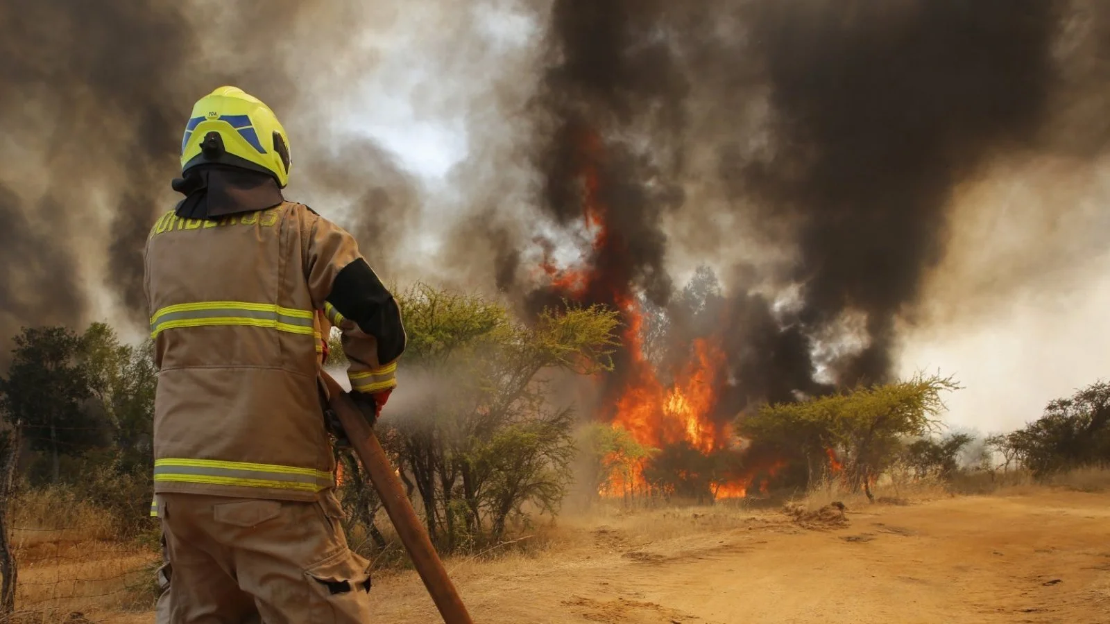 Incendios forestales 
