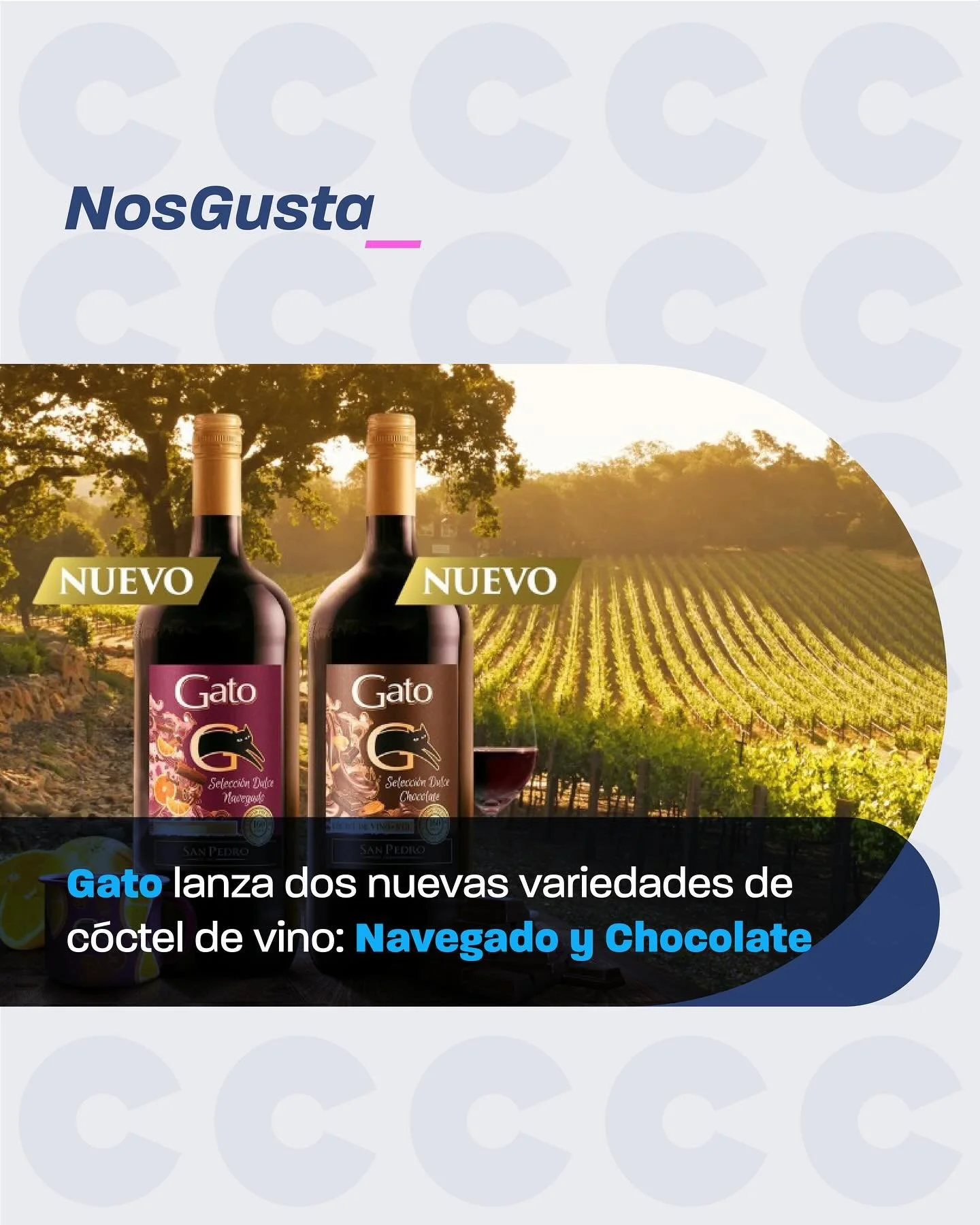 🍷❄️ Este invierno, la tradici&oacute;n se mezcla con la innovaci&oacute;n. &iexcl;Gato lo vuelve a hacer, t&iacute;pico chileno! 🐱

@vsptwinegroup presenta dos nuevos c&oacute;cteles de vino: Selecci&oacute;n Dulce Navegado y Selecci&oacute;n Dulce