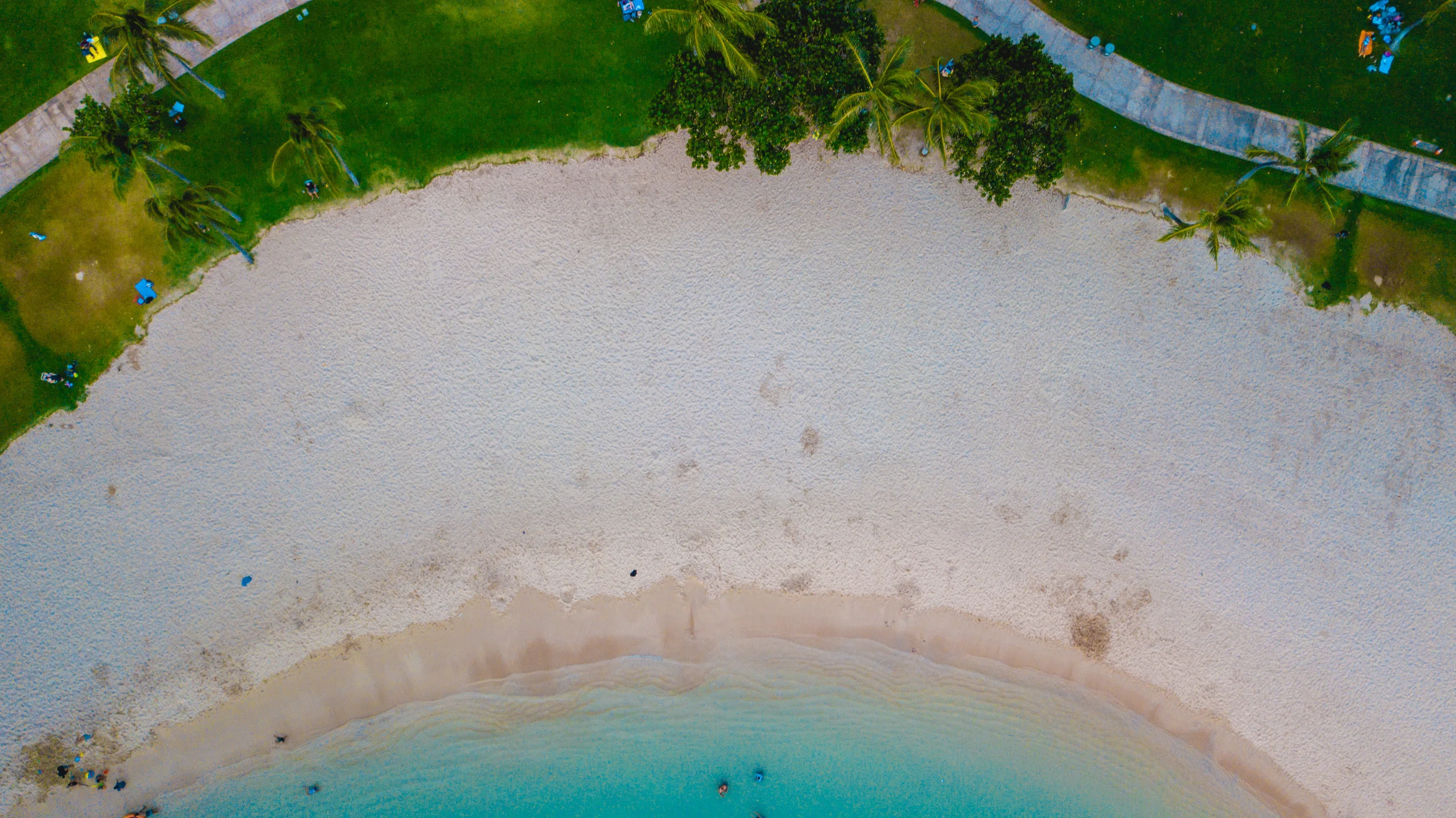 KO OLINA