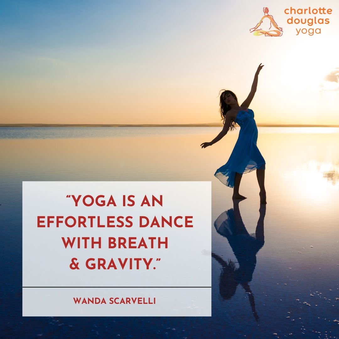 &ldquo;Yoga is an effortless dance with Breath &amp; Gravity.&rdquo; -  Wanda Scarvelli
.
.
.
.
.
.
.
#charlottedouglasyoga
#charlottedouglasyogatherapy
#yogatherapy
#somaticmovement
#therapeuticyoga
#somatictherapy
#somaticyoga 
#mindfulmovement 
#b