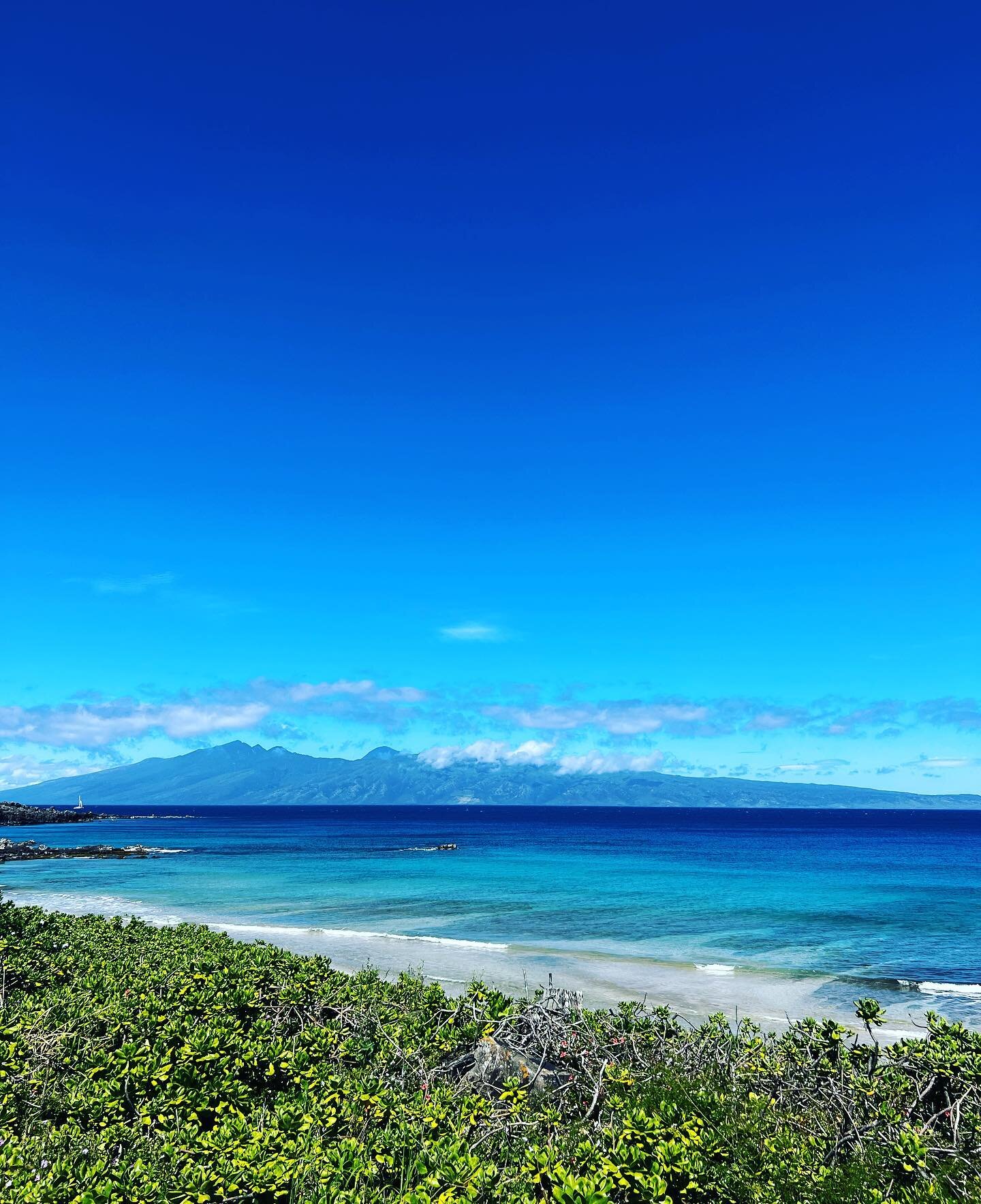 Mahalo @thewheatcollection + @ritzcarltonkapalua for hosting me + @ajmadellc for a Spring Break Trunk Show.  It was an epic trip back to Hawaii.  I met + worked with some awesome people @thewheatcollection + @ritzcarltonkapalua. I got the best of bot