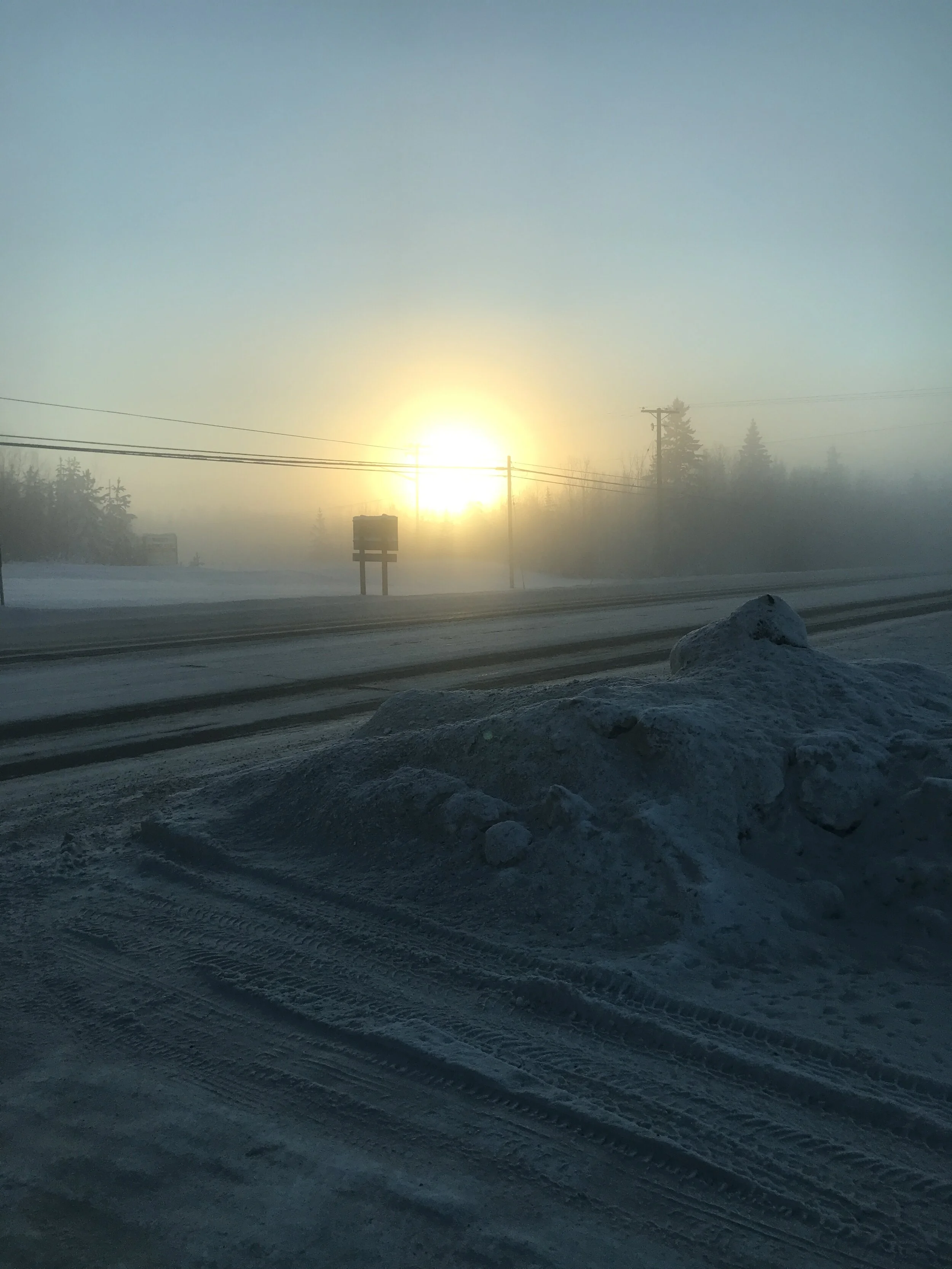 Beauty Even In the Cold