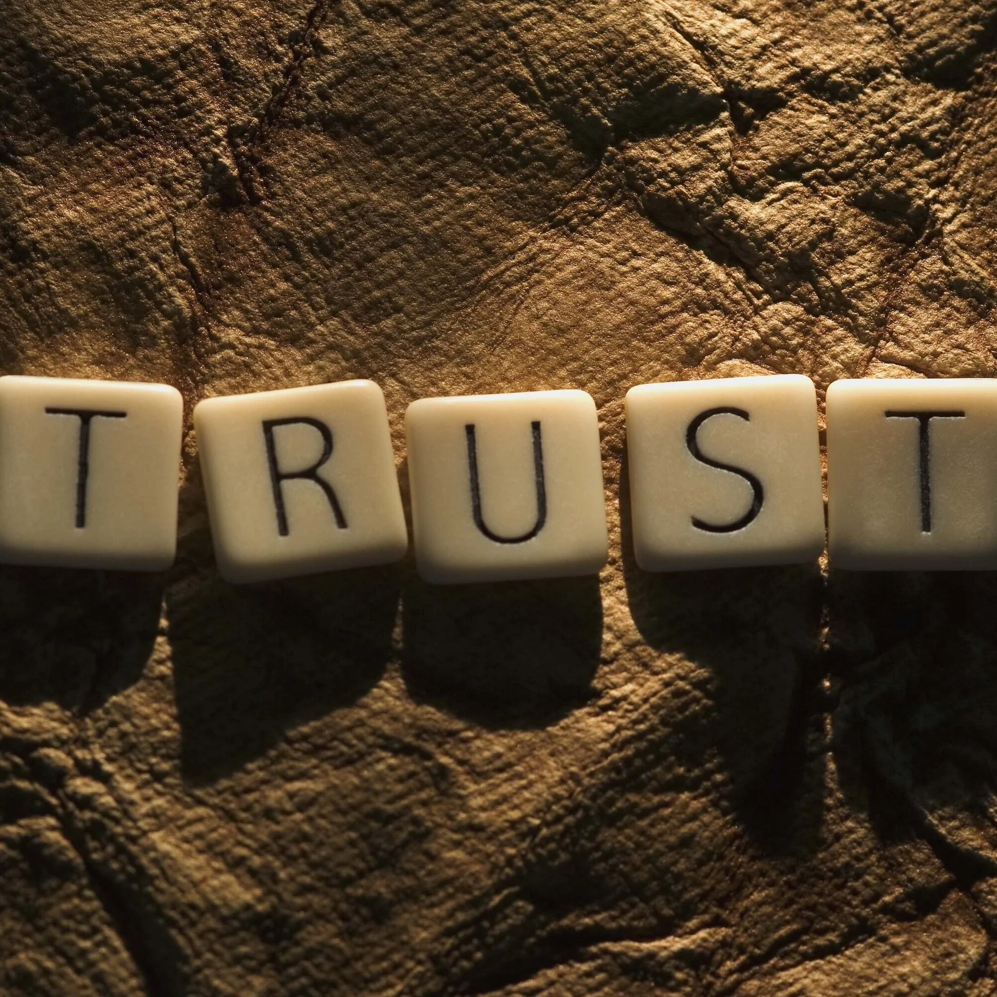 Learning to Trust