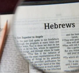 Finding Reason to Persevere