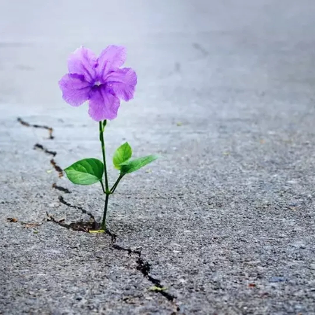 Facing the Challenging Parts of Life