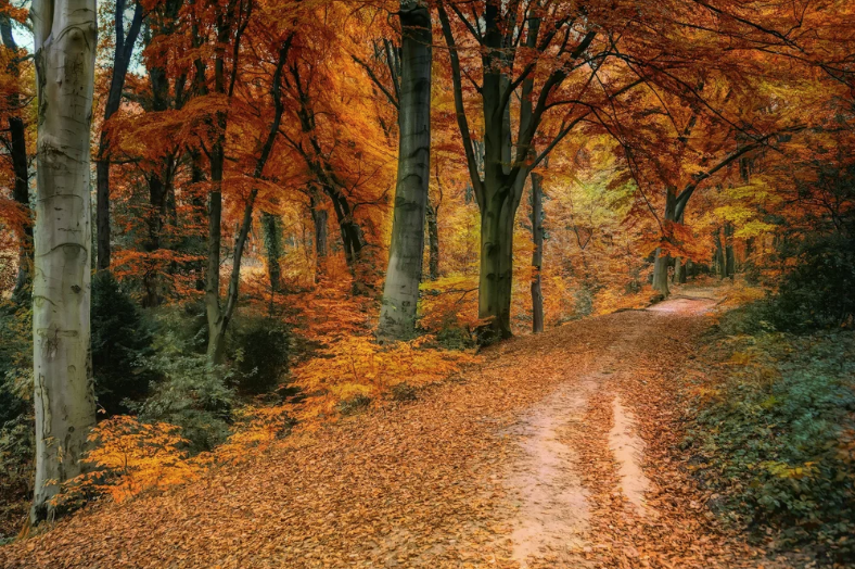 Reflections on Cause and Effect (Part II)