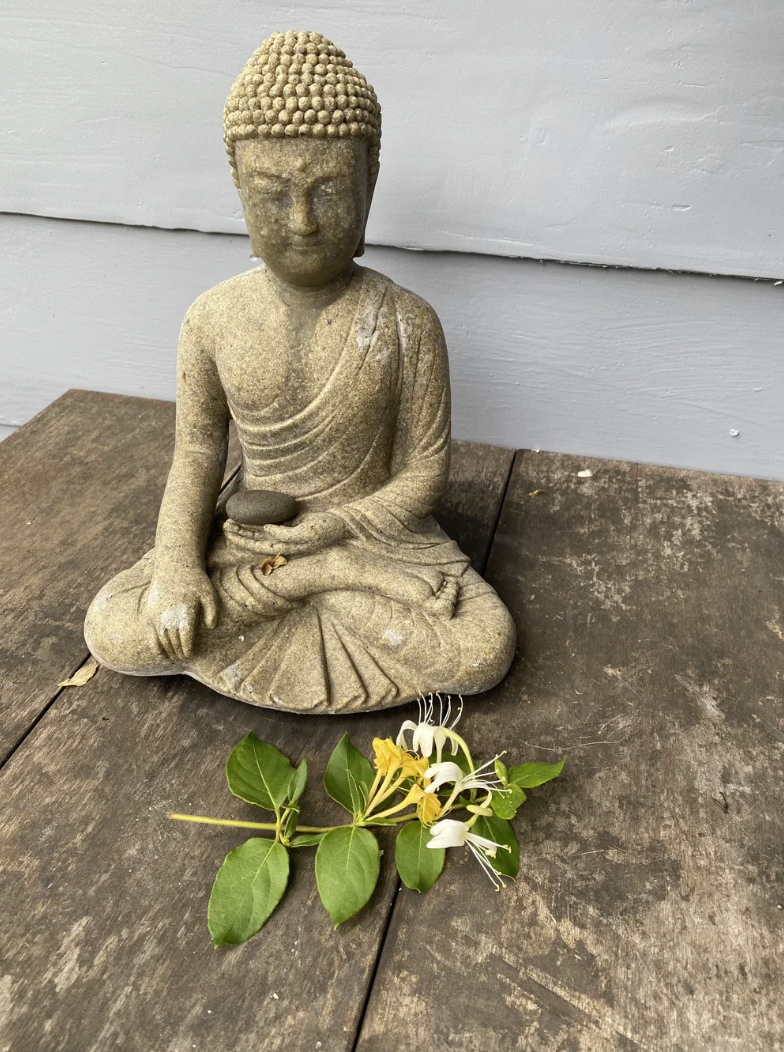 Four Noble Truths for Community