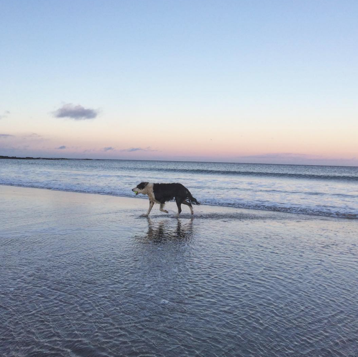 Screen Shot 2018-12-02 at 15.20.28.png