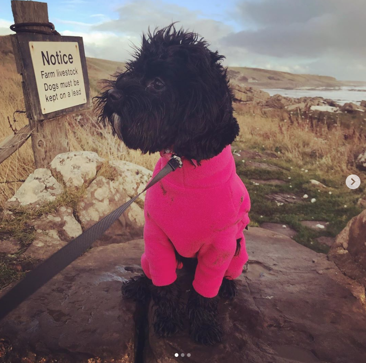 Screen Shot 2018-12-02 at 15.21.24.png