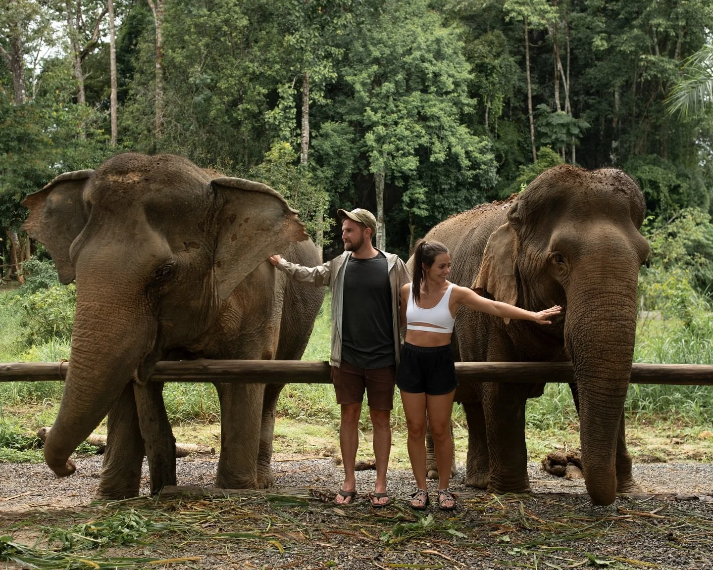 Happy Earth Day! 🌍

Finally sharing these incredible gentle giants and some other special moments for Thailand. 

We spent time at an ethical sanctuary with two rescued elephants. One was once a logger, and the younger one who came from a circus

It