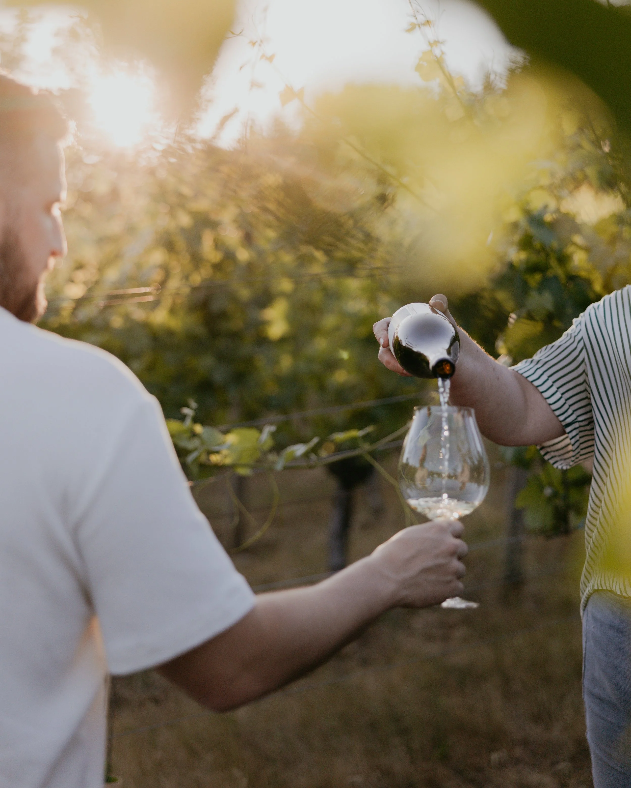 Brand photography of wine being poured at Antiquum Farm near Eugene, Oregon.
