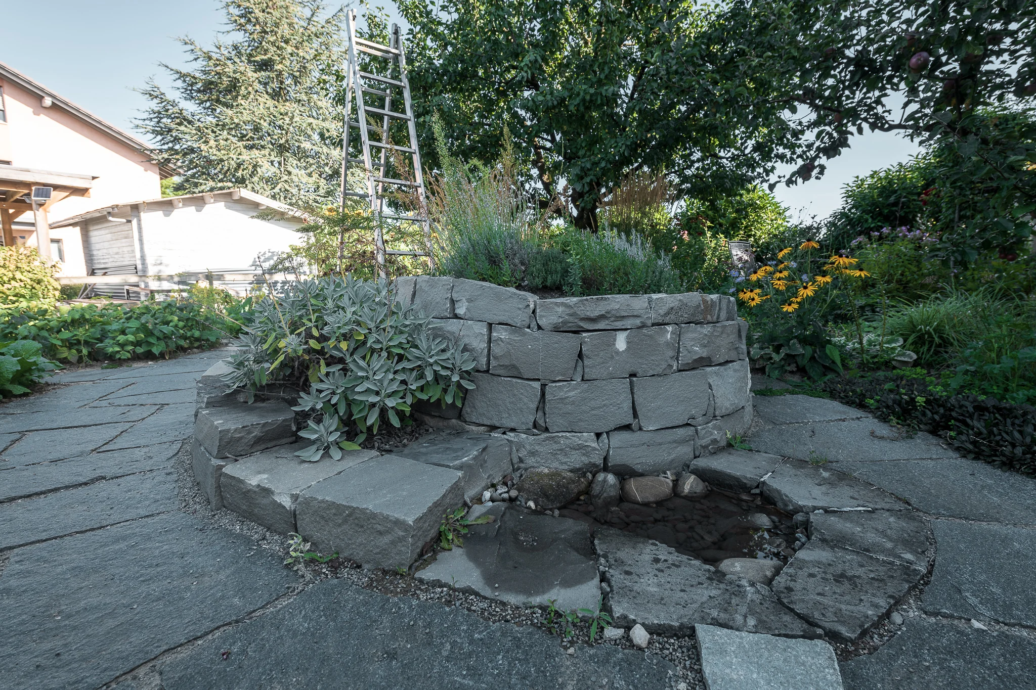 2018_08_29_Jungo_Gartengestaltung_AG_058_web.jpg