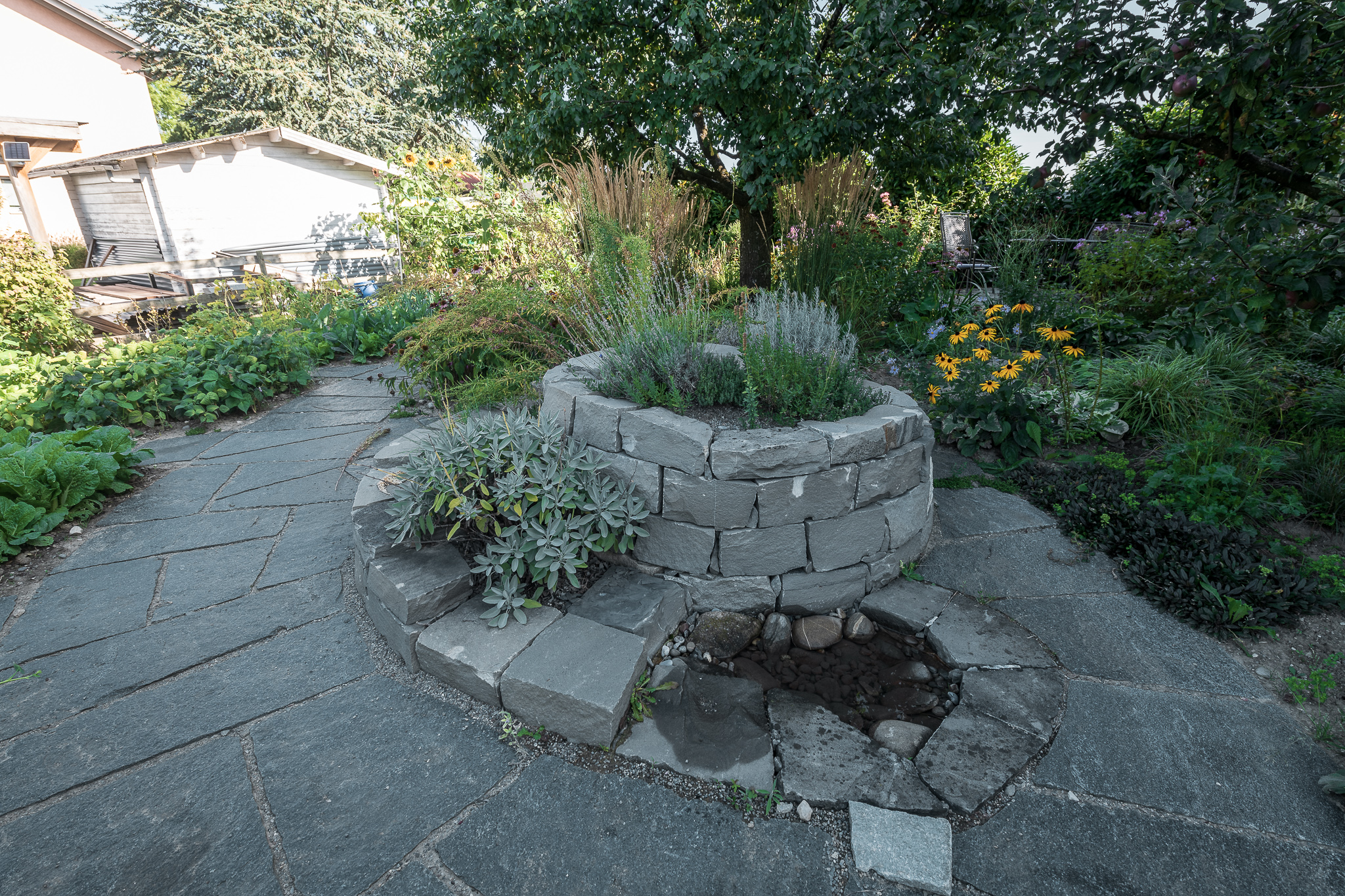 2018_08_29_Jungo_Gartengestaltung_AG_061_web.jpg
