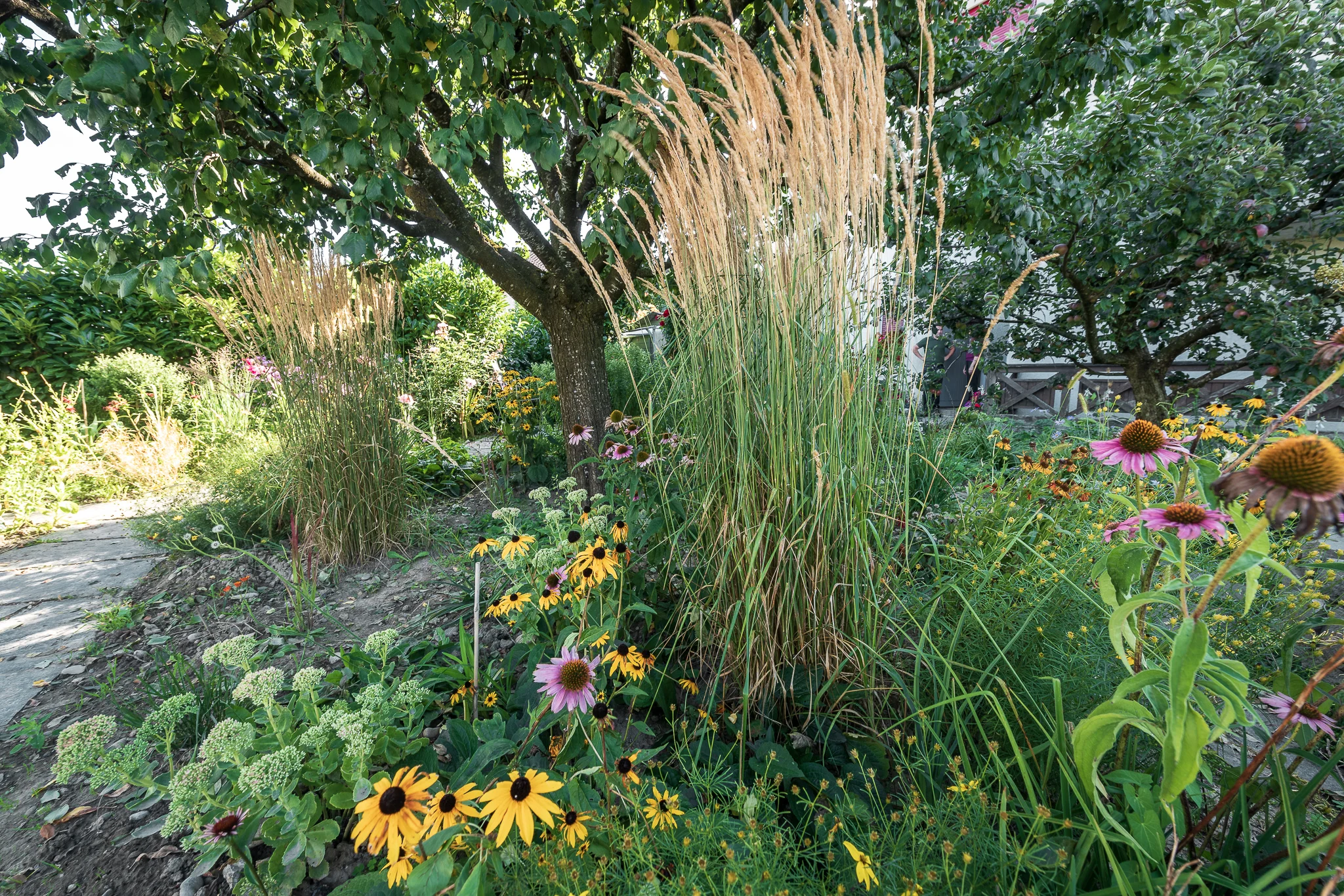 2018_08_29_Jungo_Gartengestaltung_AG_064_web.jpg