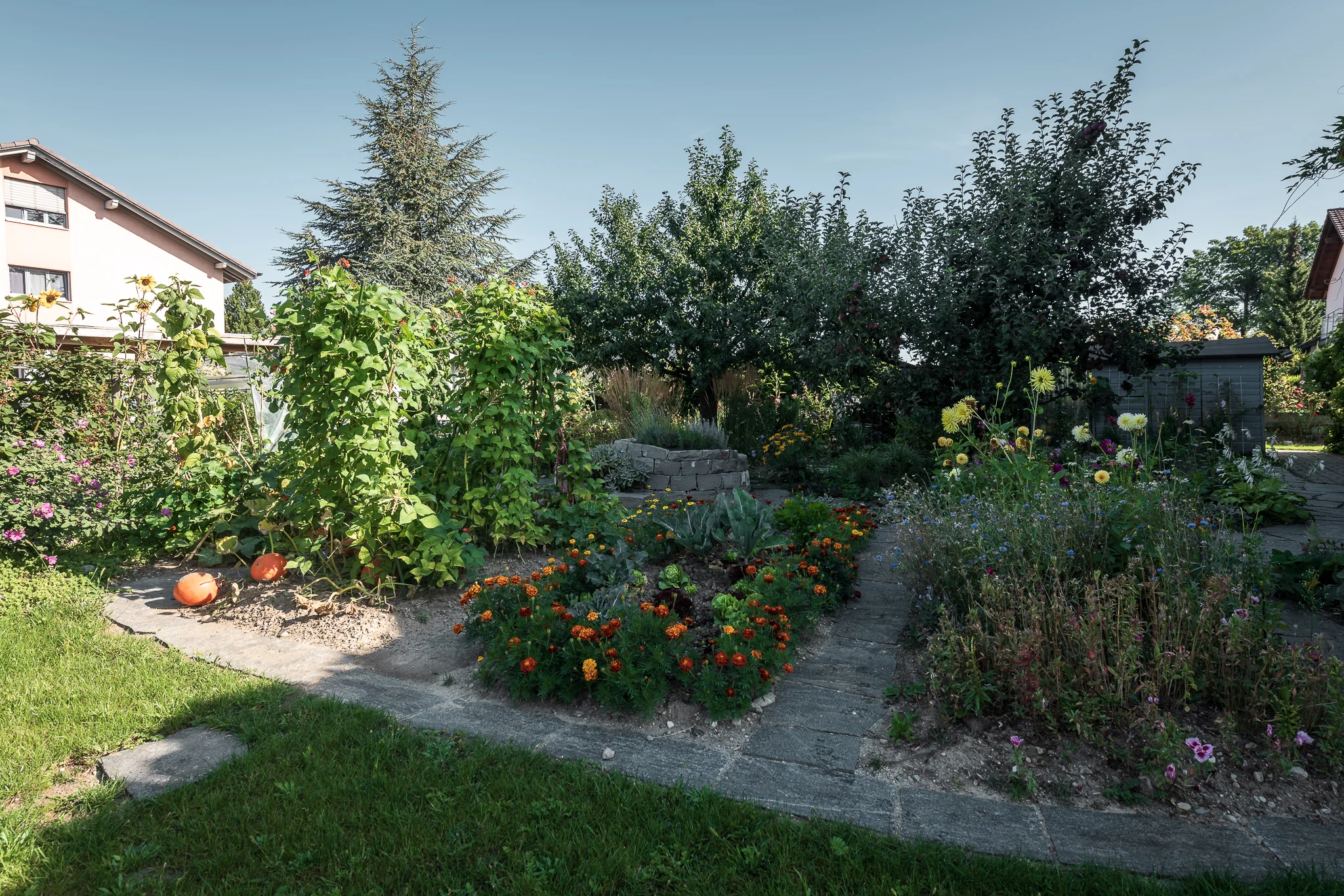 2018_08_29_Jungo_Gartengestaltung_AG_067_web.jpg
