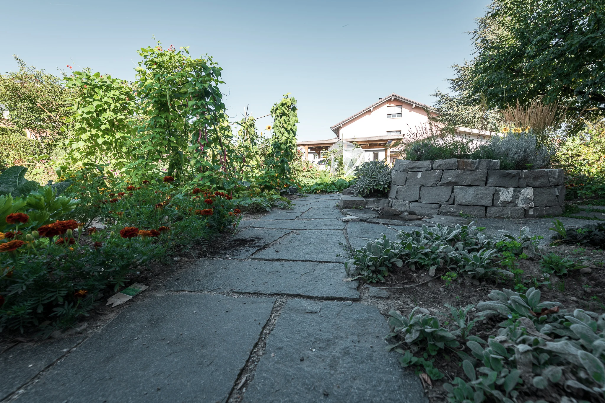 2018_08_29_Jungo_Gartengestaltung_AG_070_web.jpg