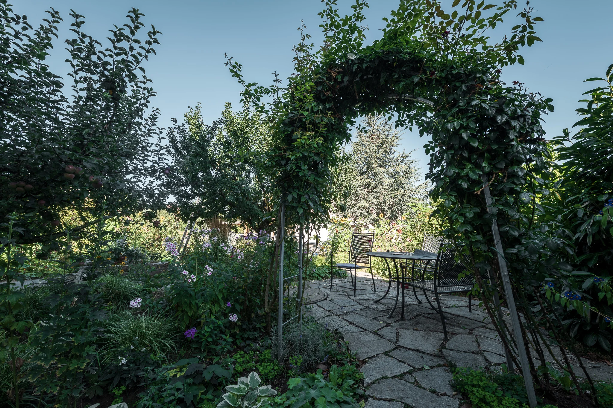 2018_08_29_Jungo_Gartengestaltung_AG_072_web.jpg