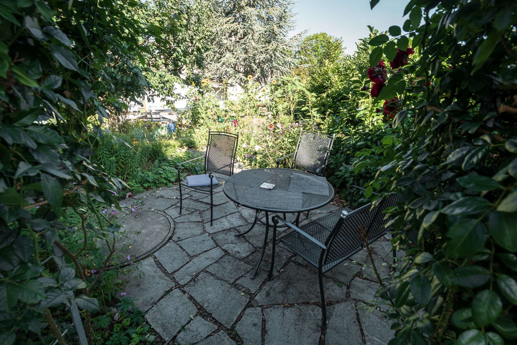 2018_08_29_Jungo_Gartengestaltung_AG_073_web.jpg