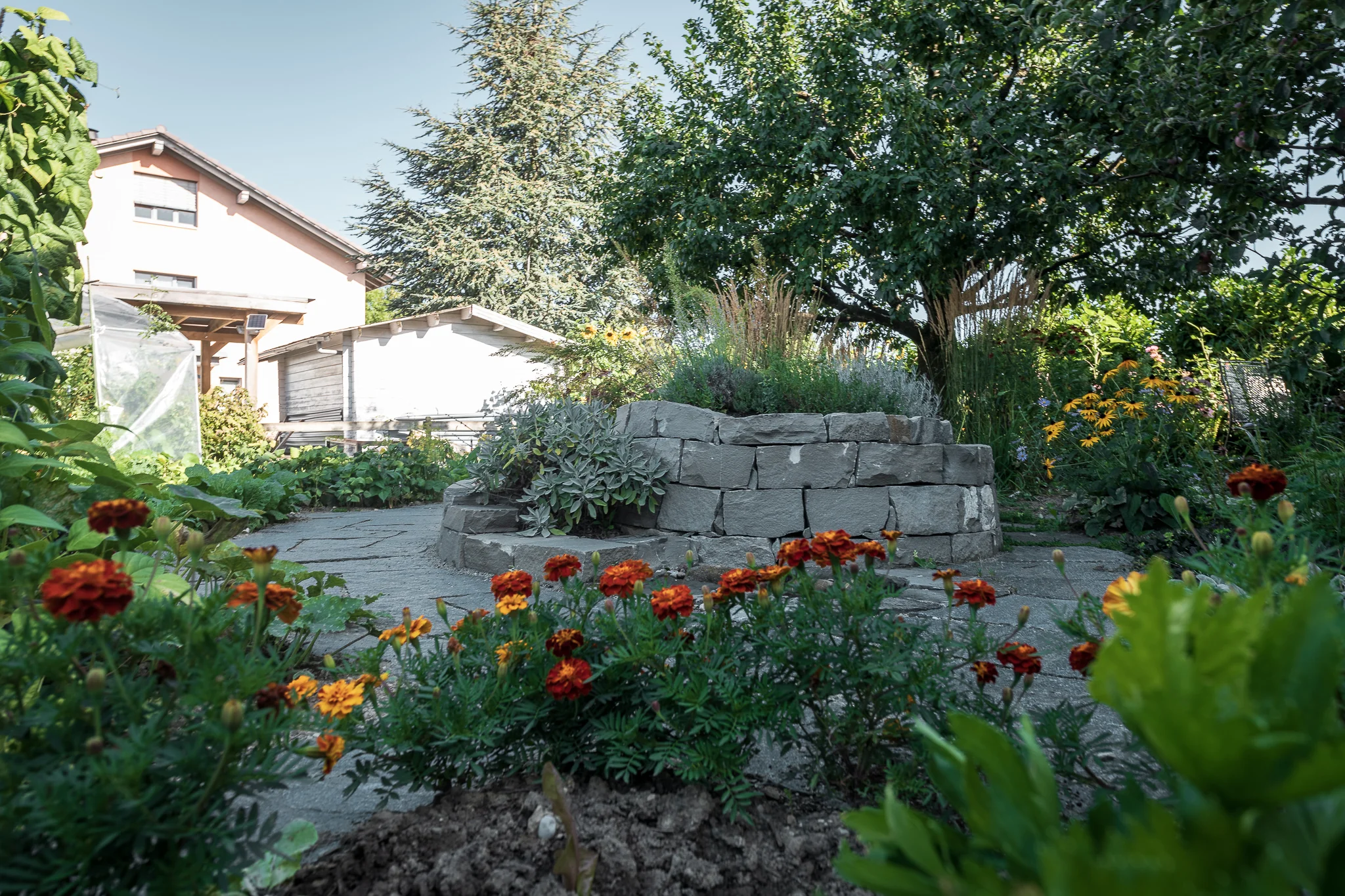 2018_08_29_Jungo_Gartengestaltung_AG_066_web.jpg
