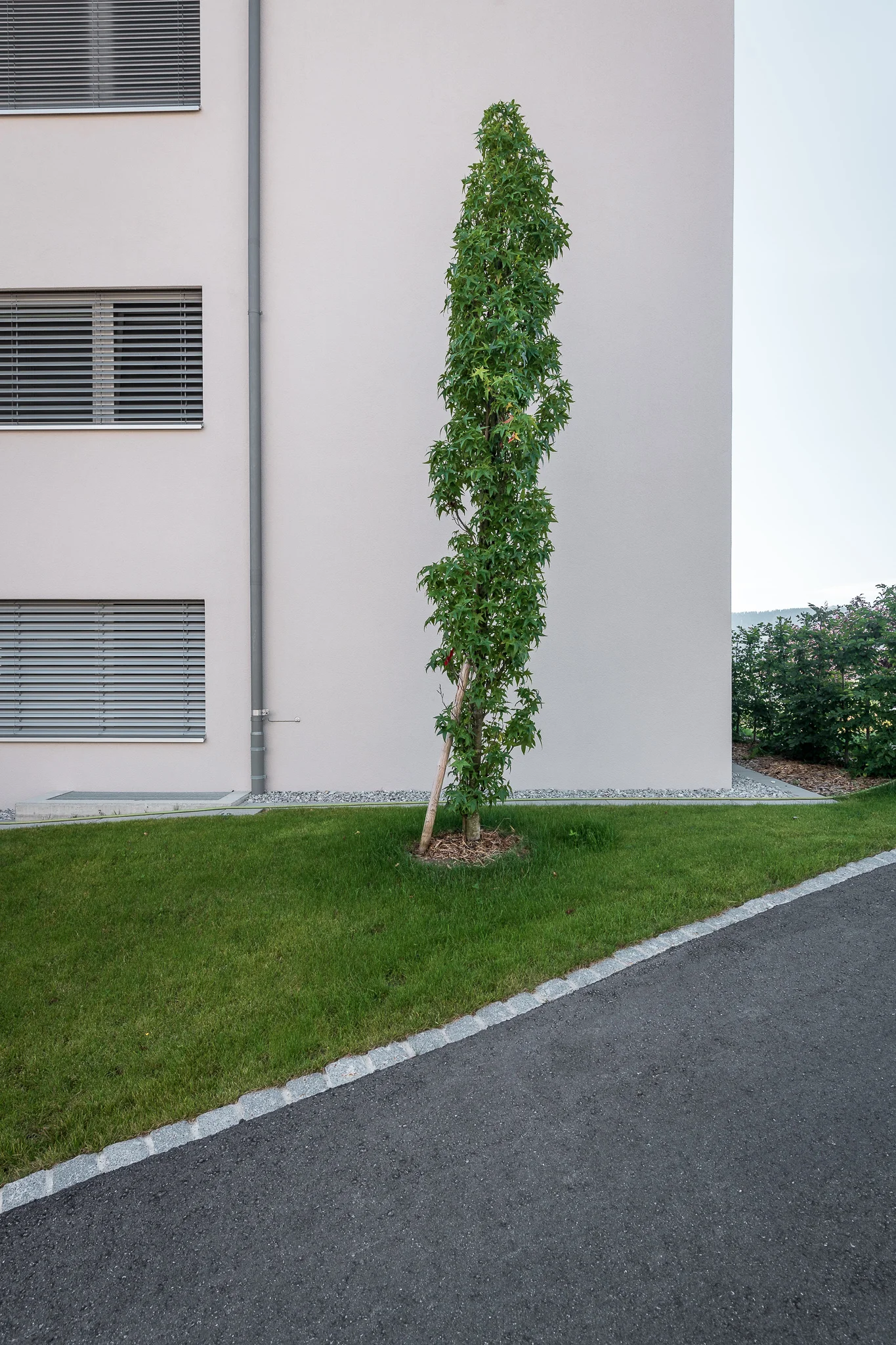 2018_08_29_Jungo_Gartengestaltung_AG_119_web.jpg