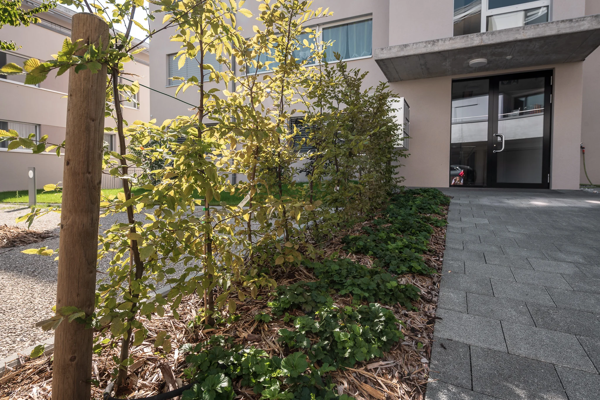 2018_08_29_Jungo_Gartengestaltung_AG_122_web.jpg