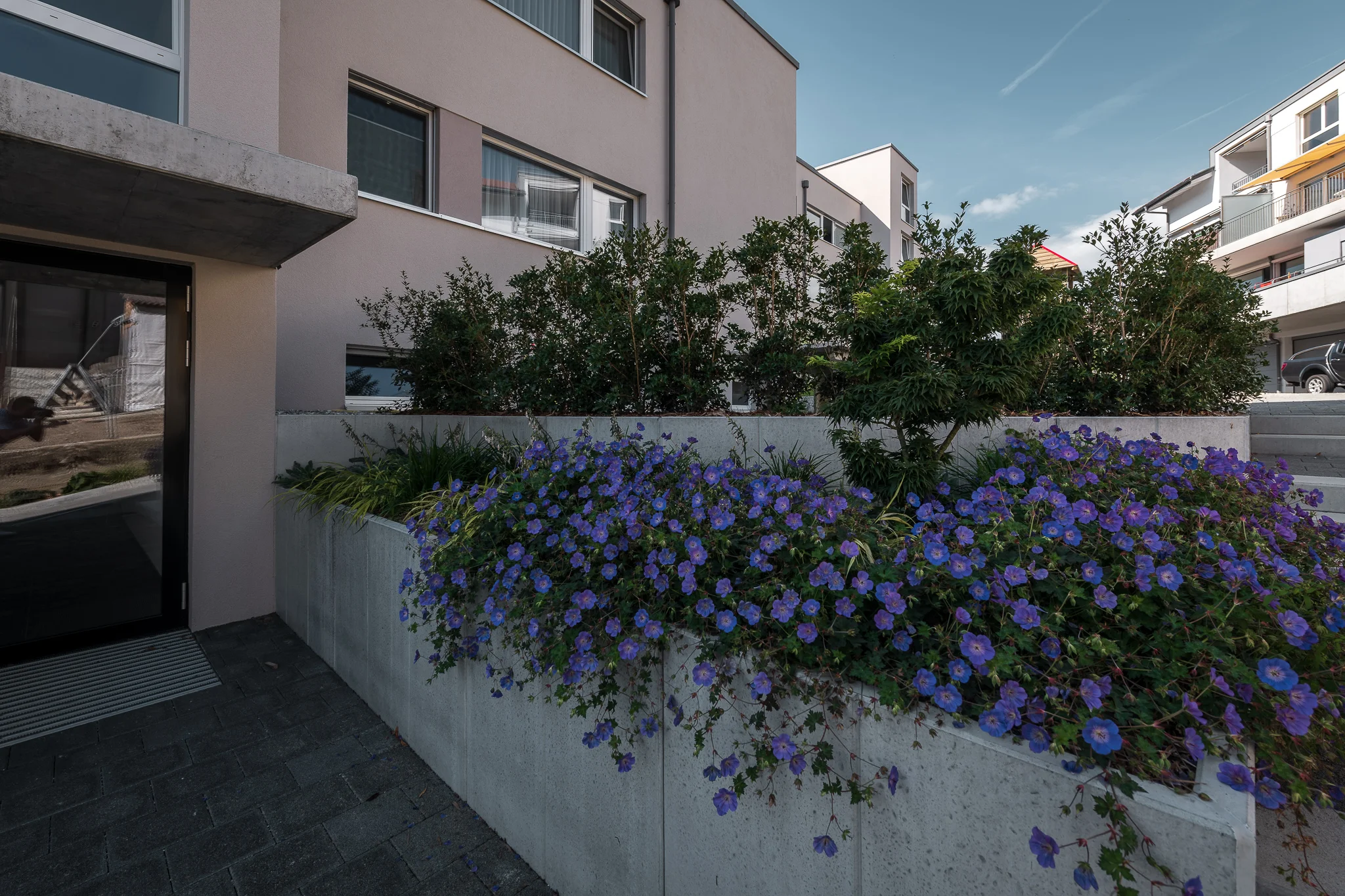 2018_08_29_Jungo_Gartengestaltung_AG_129_web.jpg