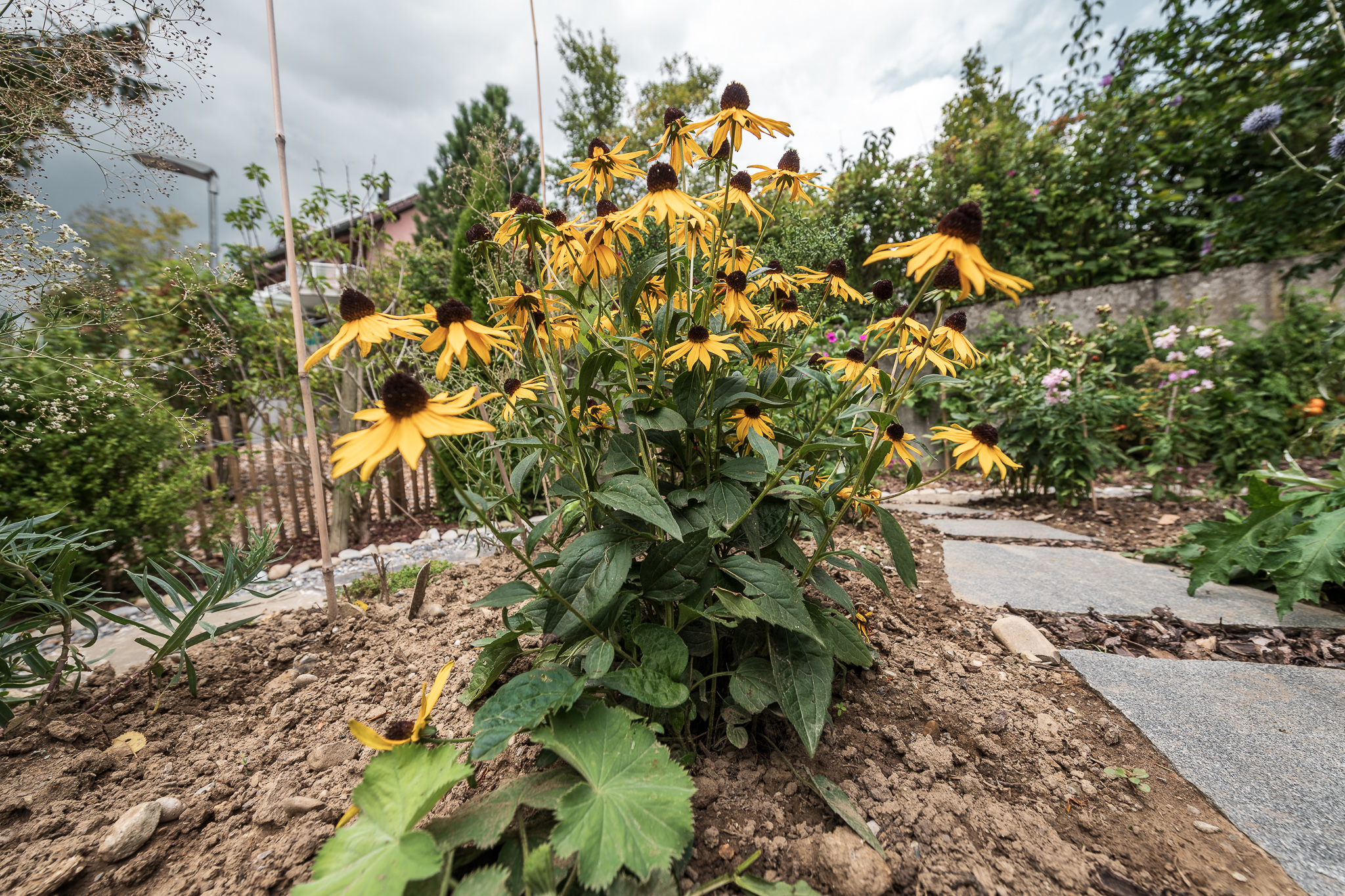 2018_08_29_Jungo_Gartengestaltung_AG_204_web.jpg