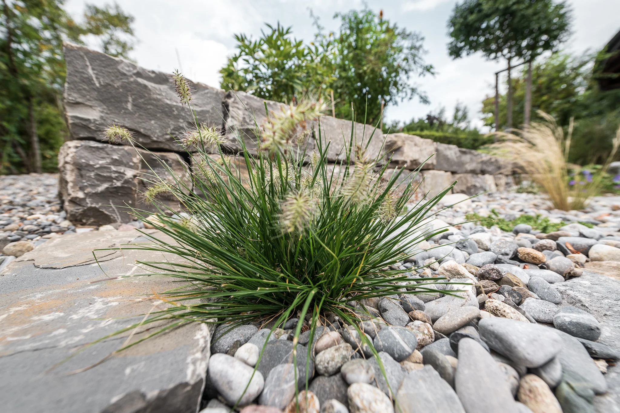 2018_08_29_Jungo_Gartengestaltung_AG_206_web.jpg