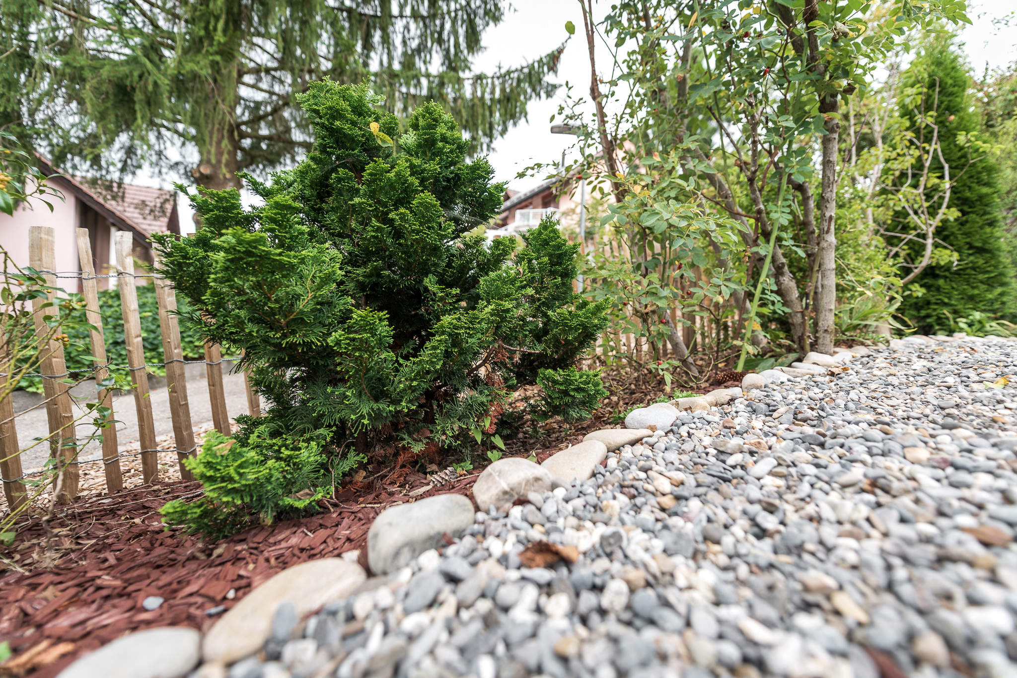 2018_08_29_Jungo_Gartengestaltung_AG_219_web.jpg
