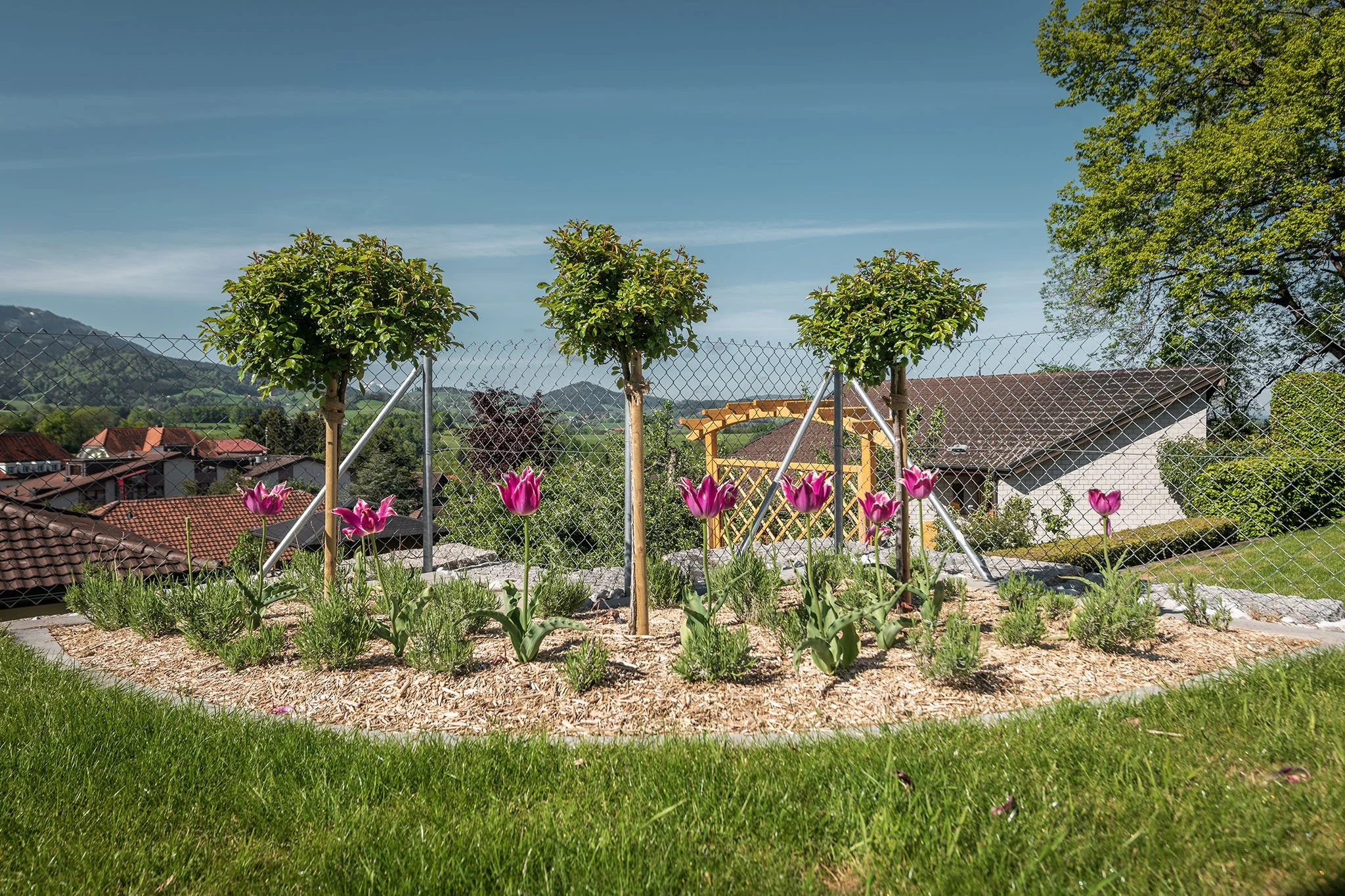 2021_05_28_Jungo_Gartengestaltung_AG_036.jpg