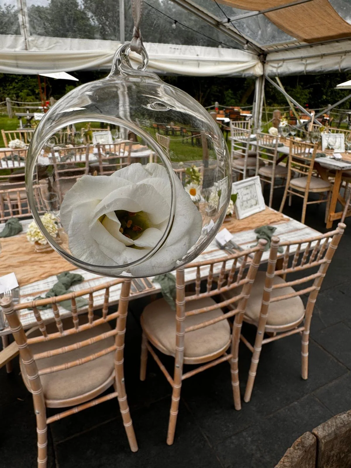 WhatsApp Image 2024-07-20.jpeg