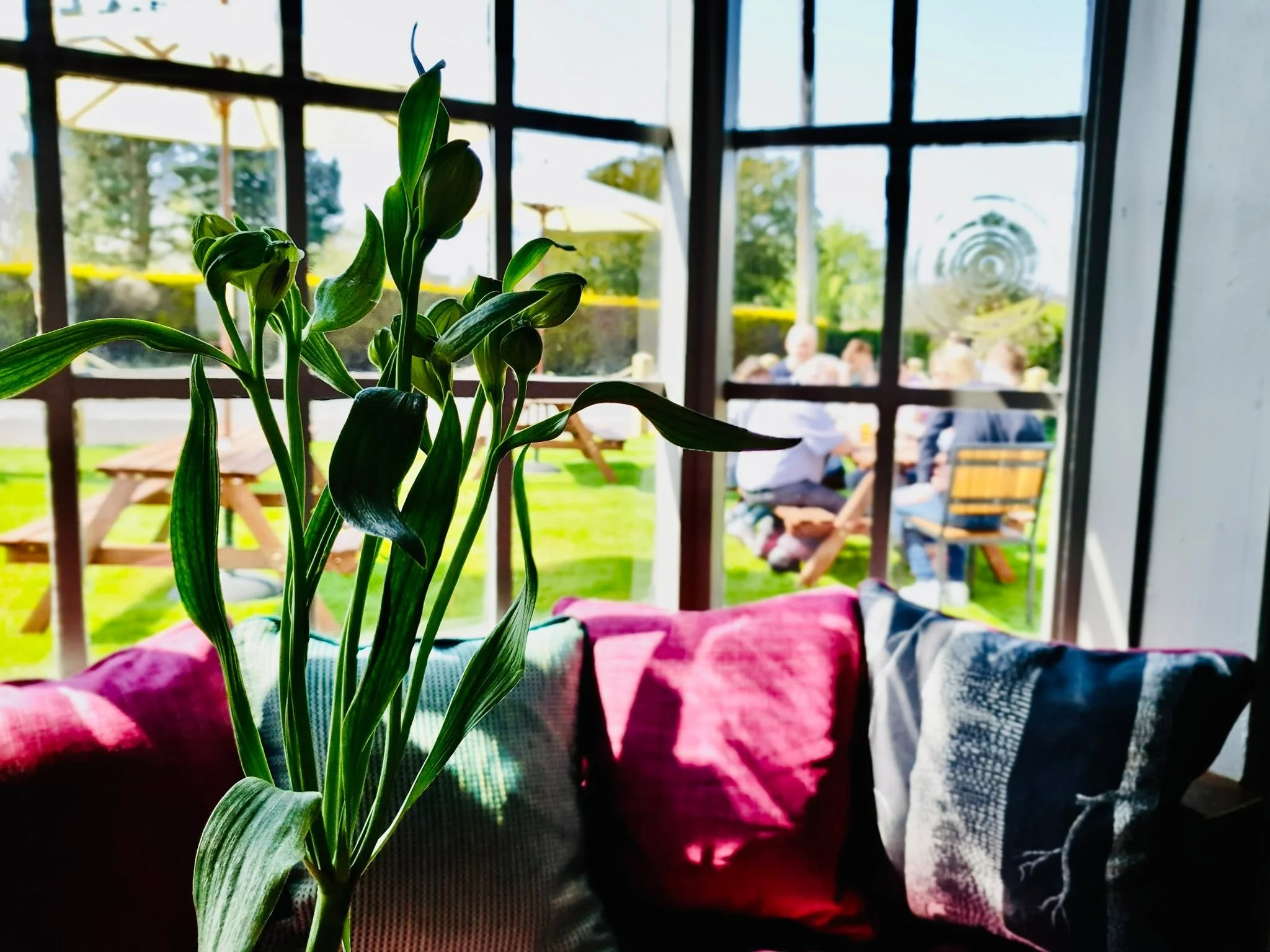 Is there anything is this life (be serious now) better than Pub Garden Time?

Come and enjoy the weather this weekend.