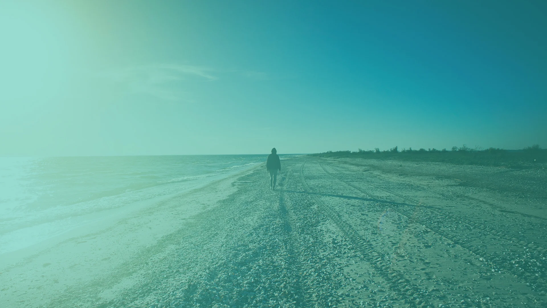 home-background.jpg
