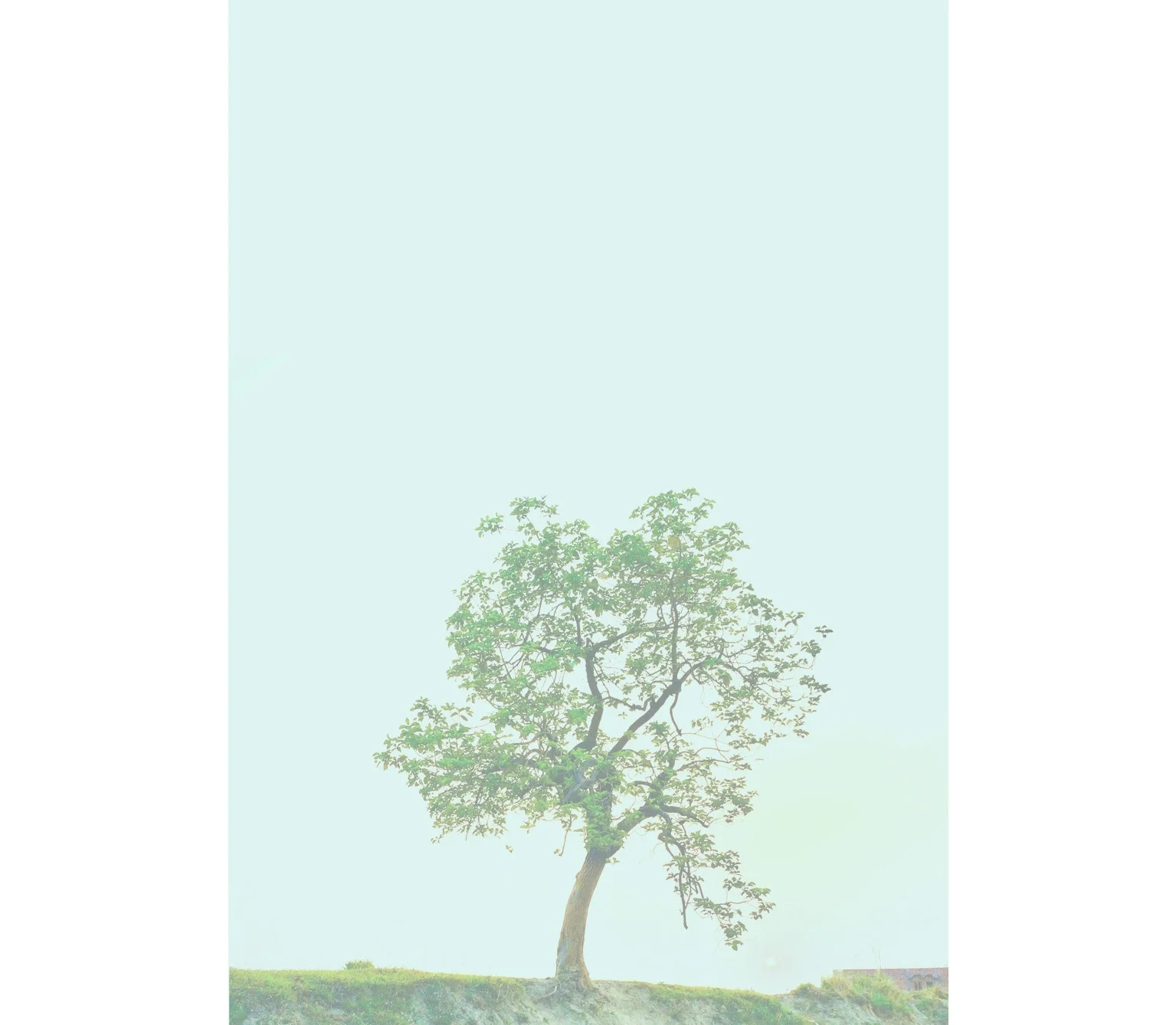 background---transversais.jpg