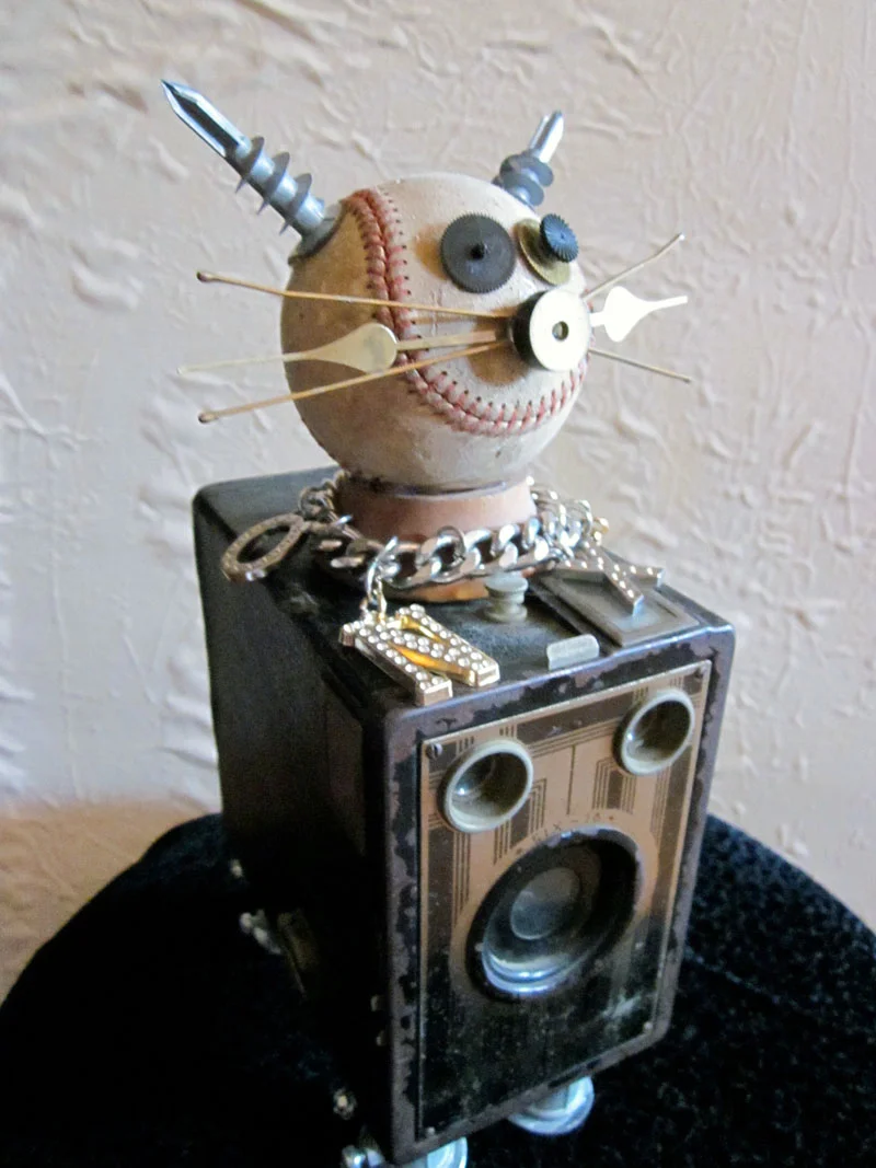 Camera Cat