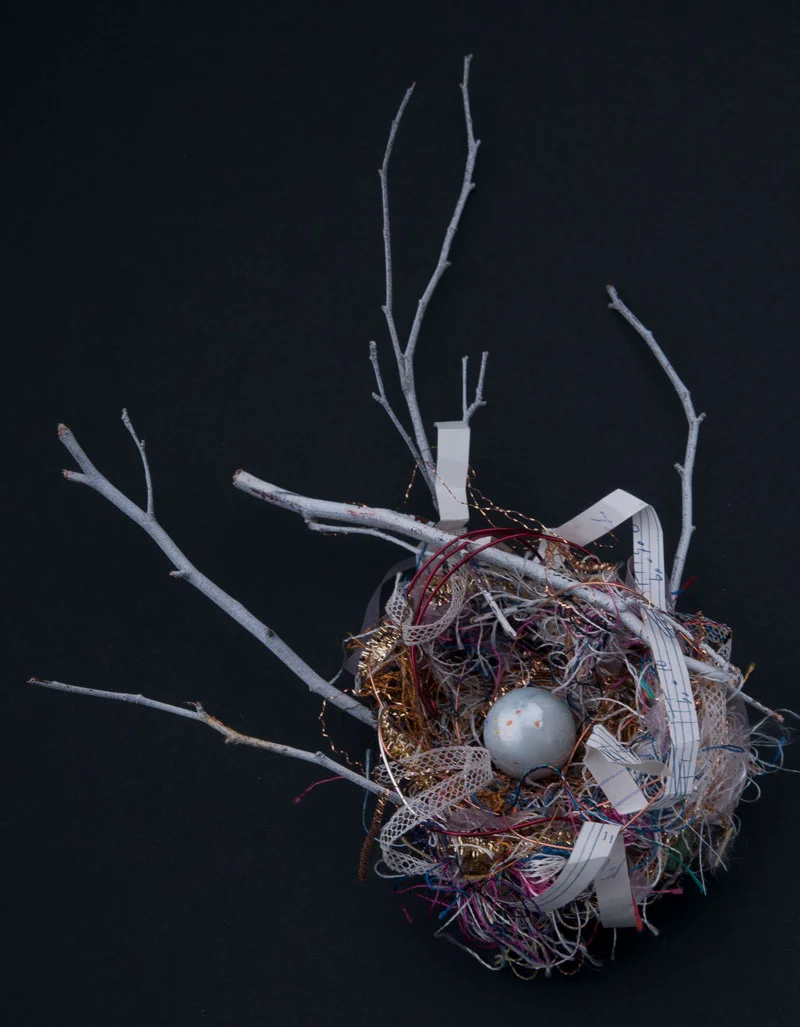 Songbird’s Nest