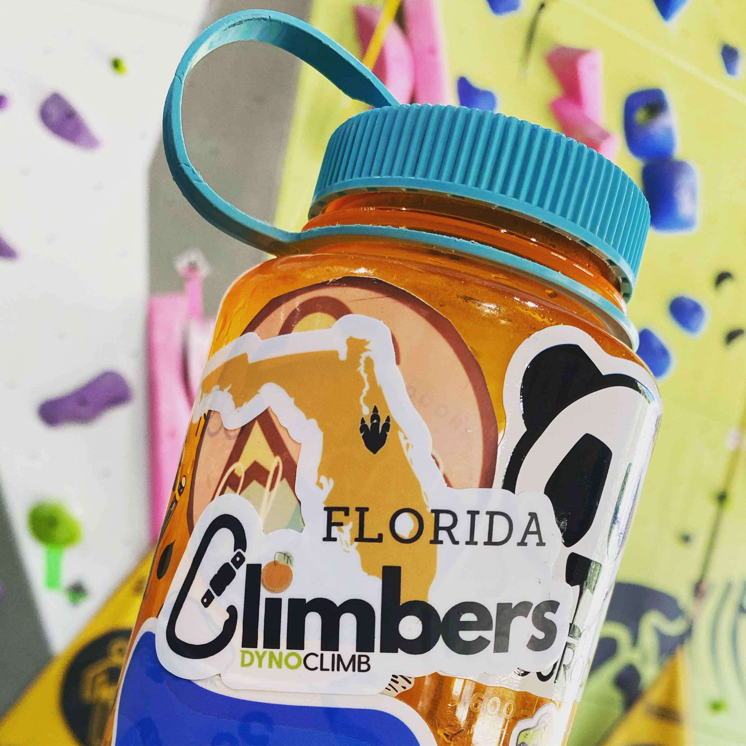 florida climbers.JPG