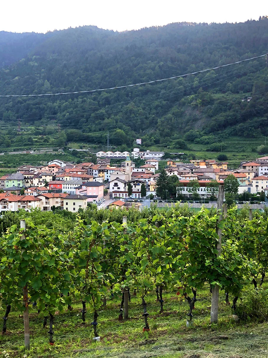 CableCarVillage.jpg