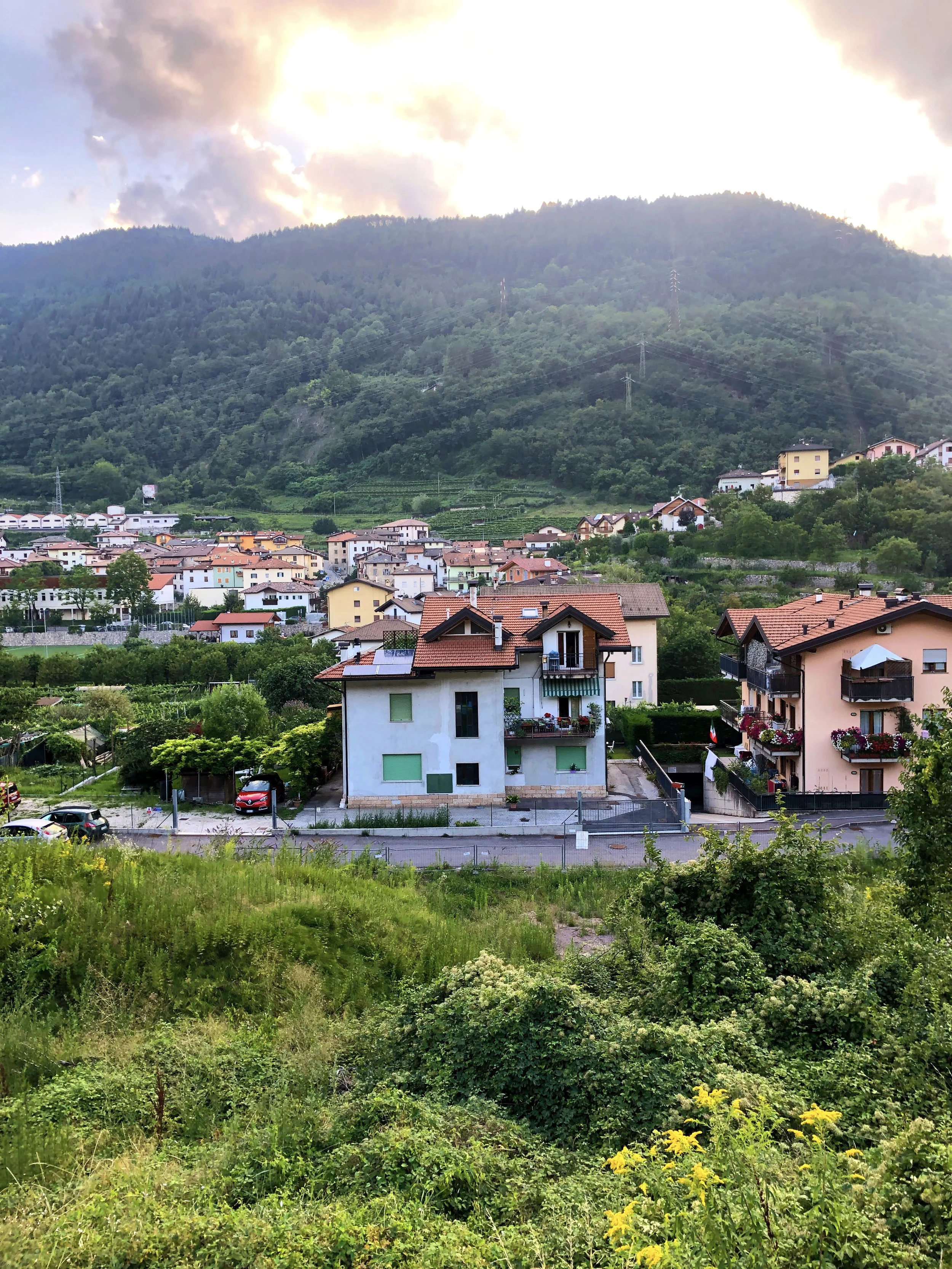 D is for Discovery: Not dismissing safety precautions