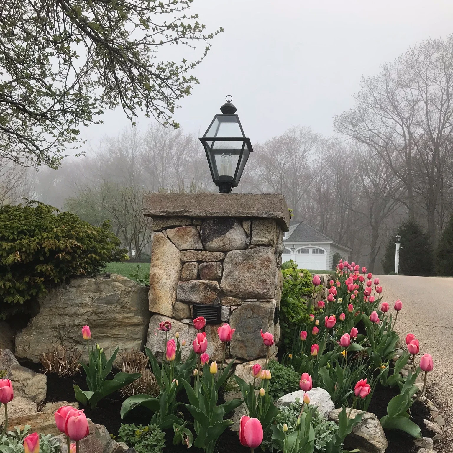 When Spring Comes and it looks like this, it proves that you worked hard last year.