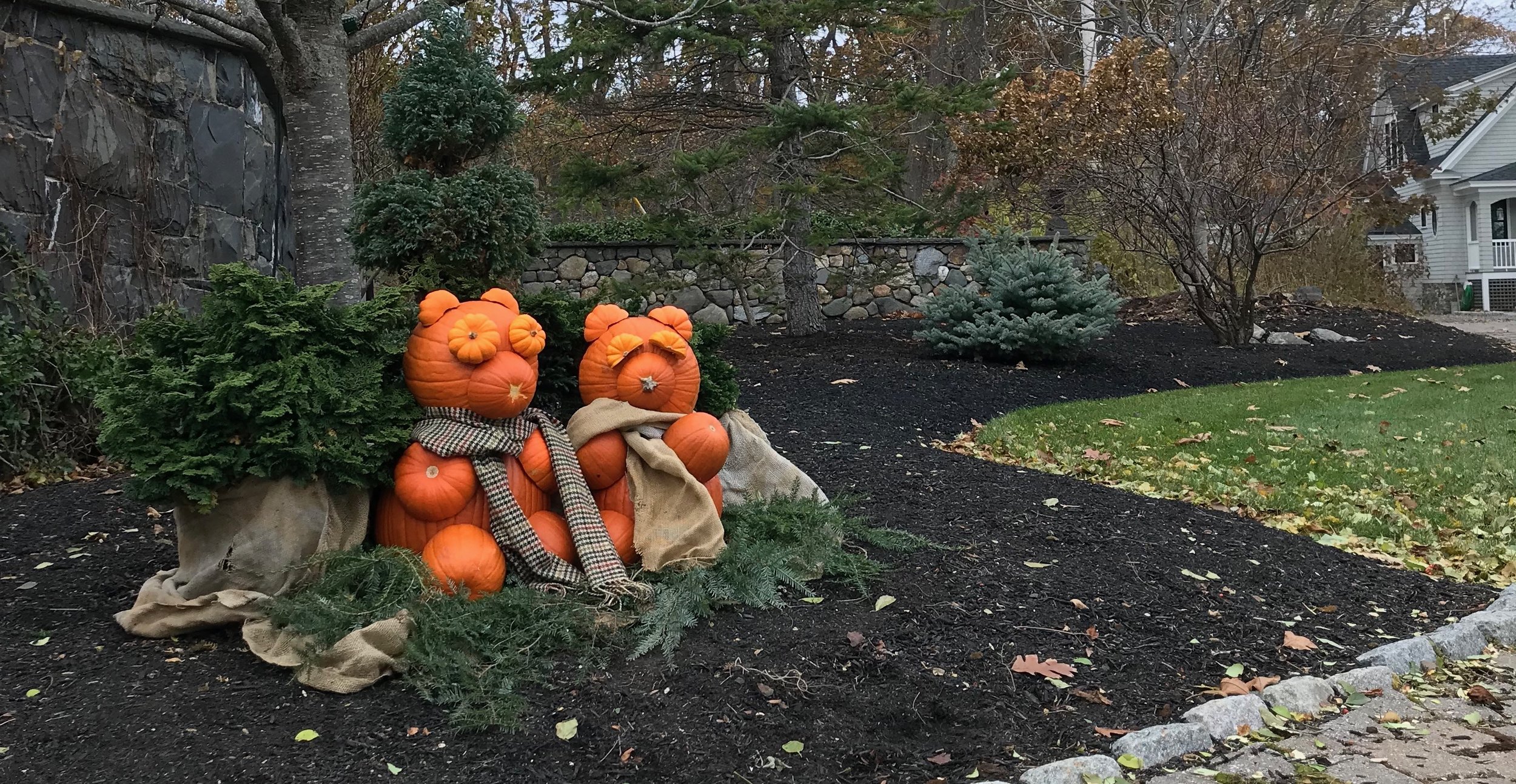 Ask for something fun